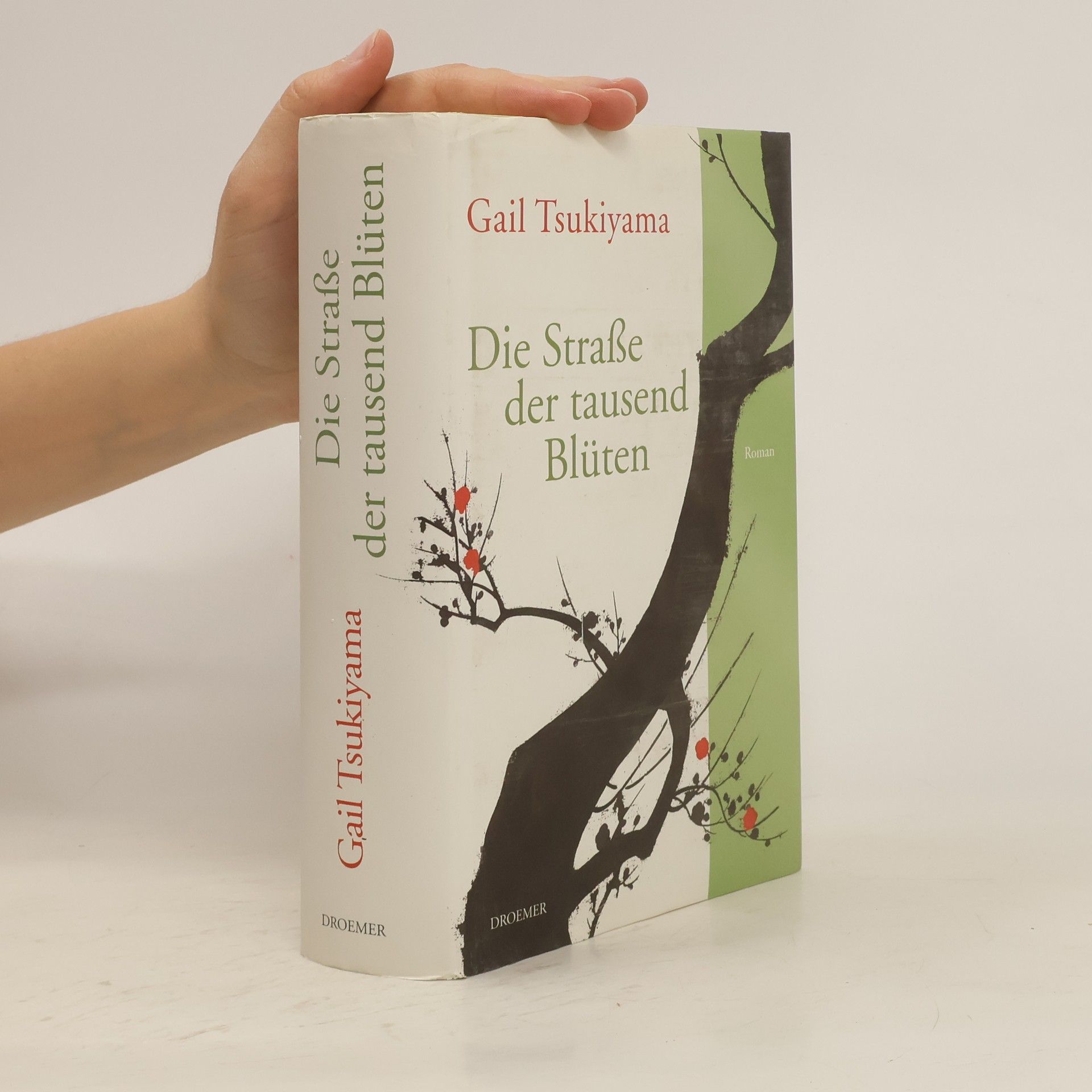 Gail Tsukiyama Die Straße der tausend Blüten