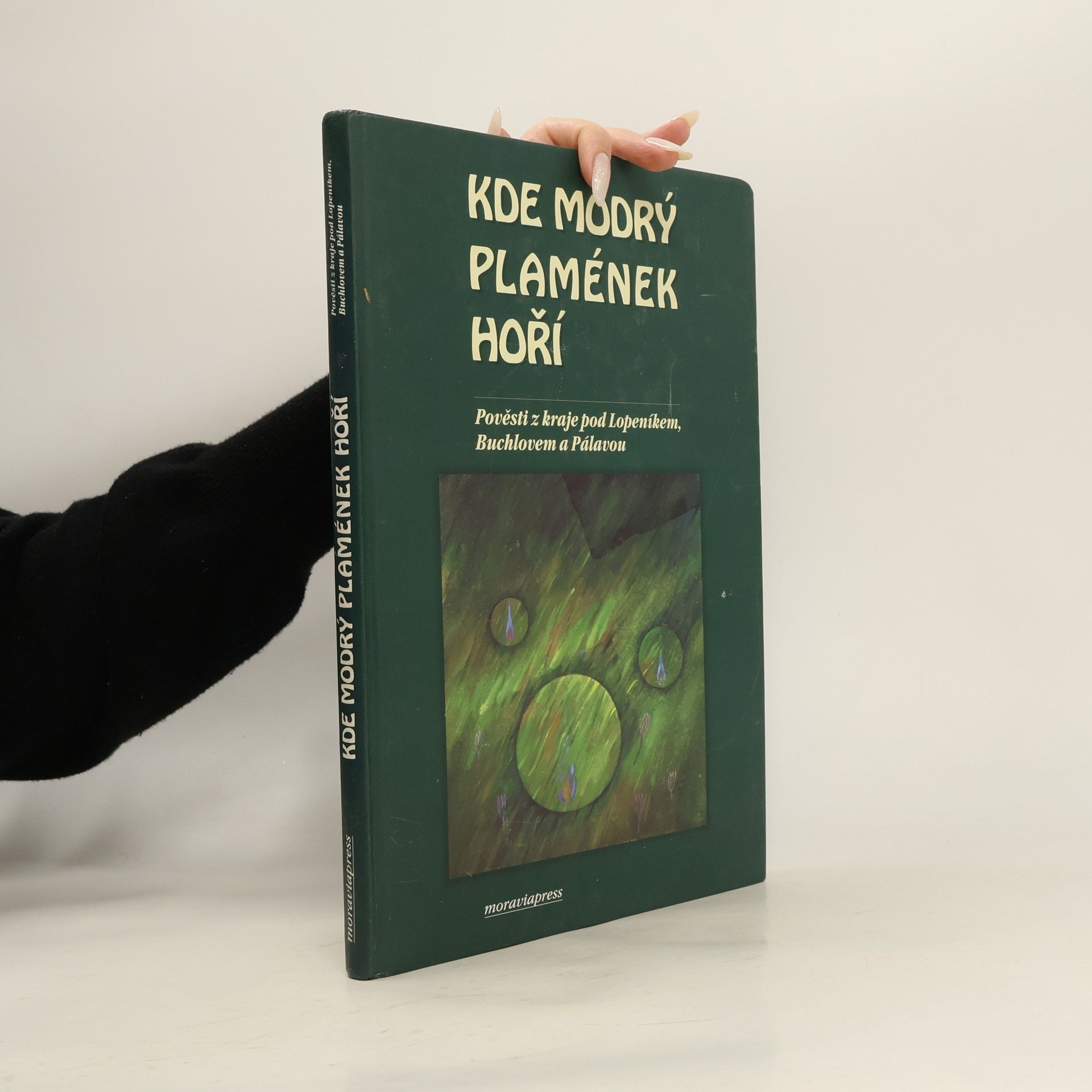 Alena Bartošíková Kde modrý plamének hoří