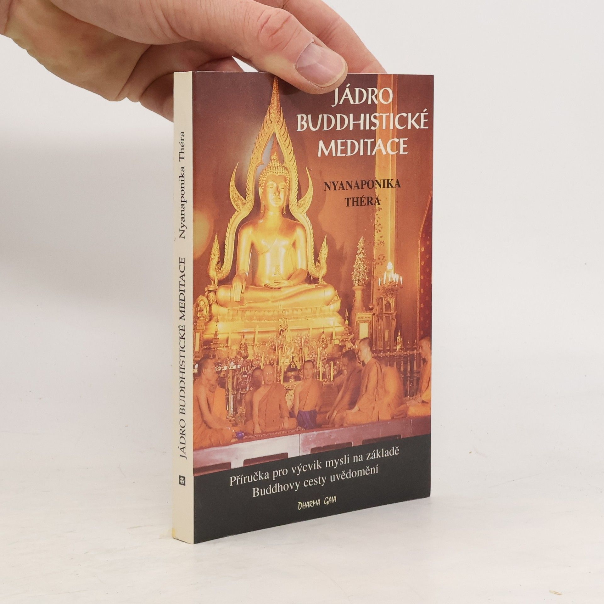 Karel Werner Jádro buddhistické meditace : satipatthána : příručka pro výcvik mysli na základě Buddhovy cesty uvědomění : s antologií textů přeložených z pálijštiny a sanskrtu