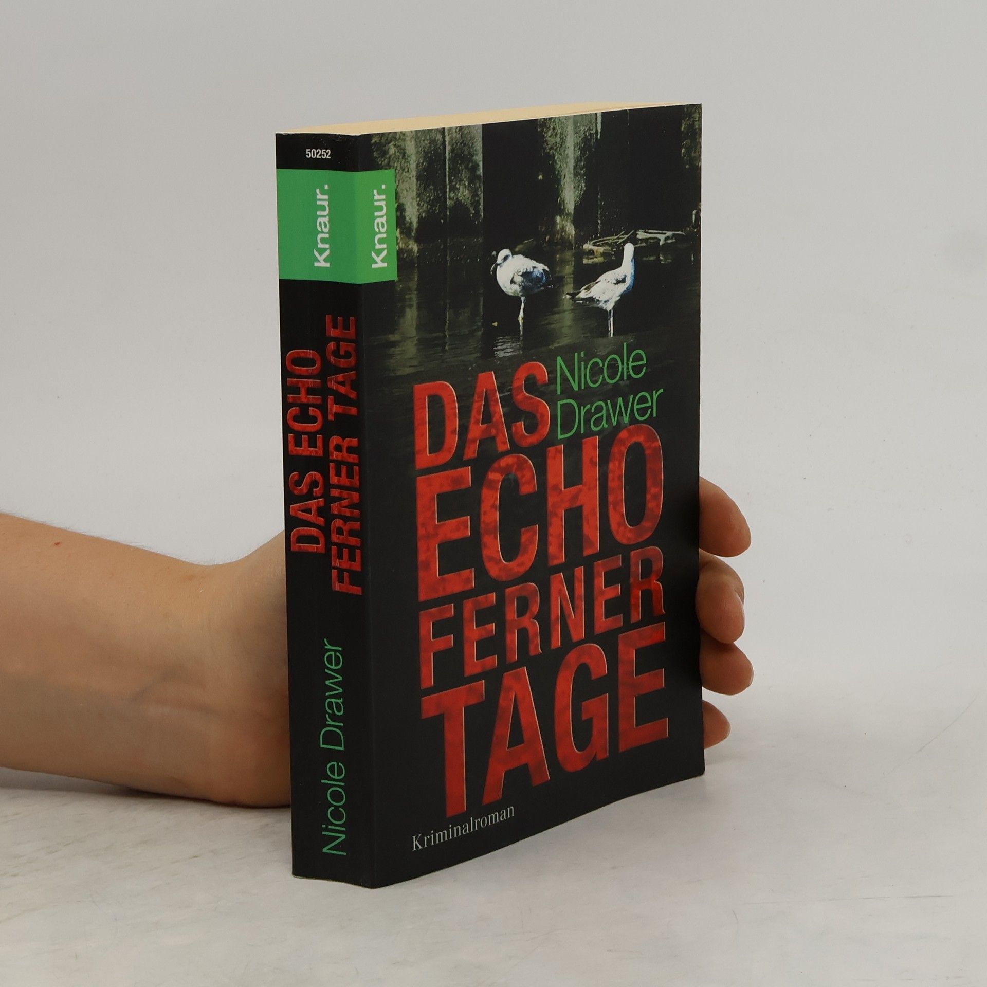 Nicole Drawer Das Echo ferner Tage