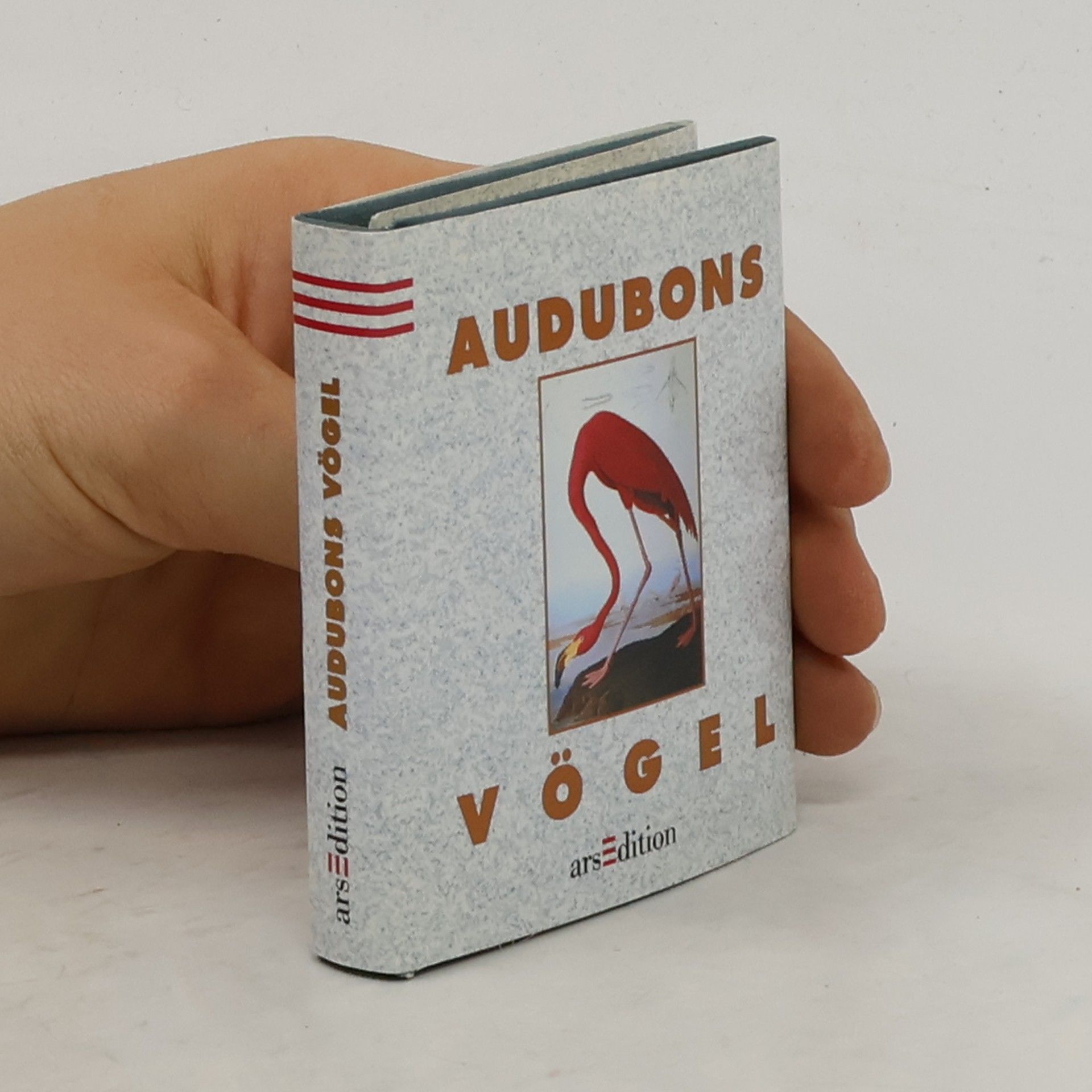 John James Audubon Audubons Vögel