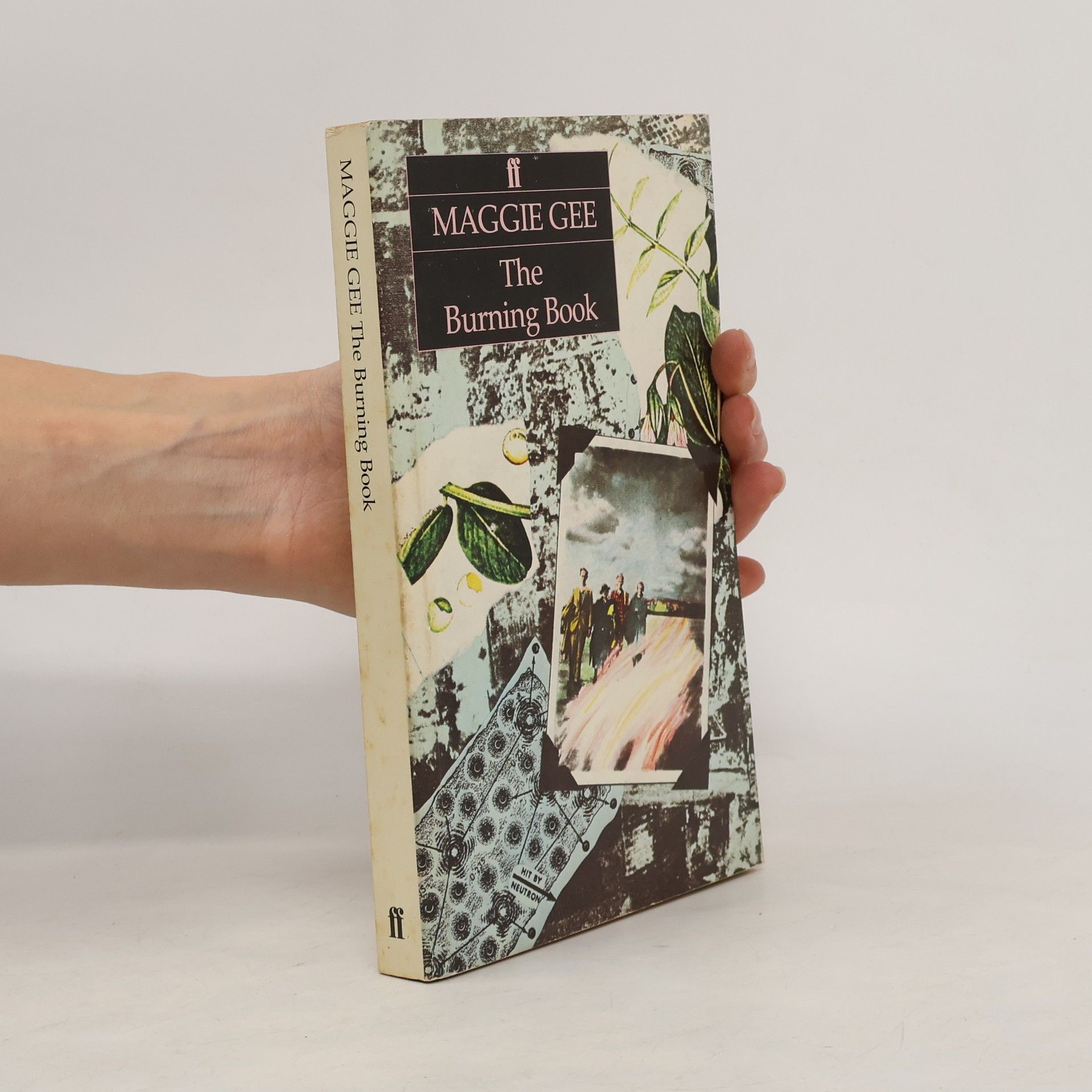 Maggie Gee The Burning Book