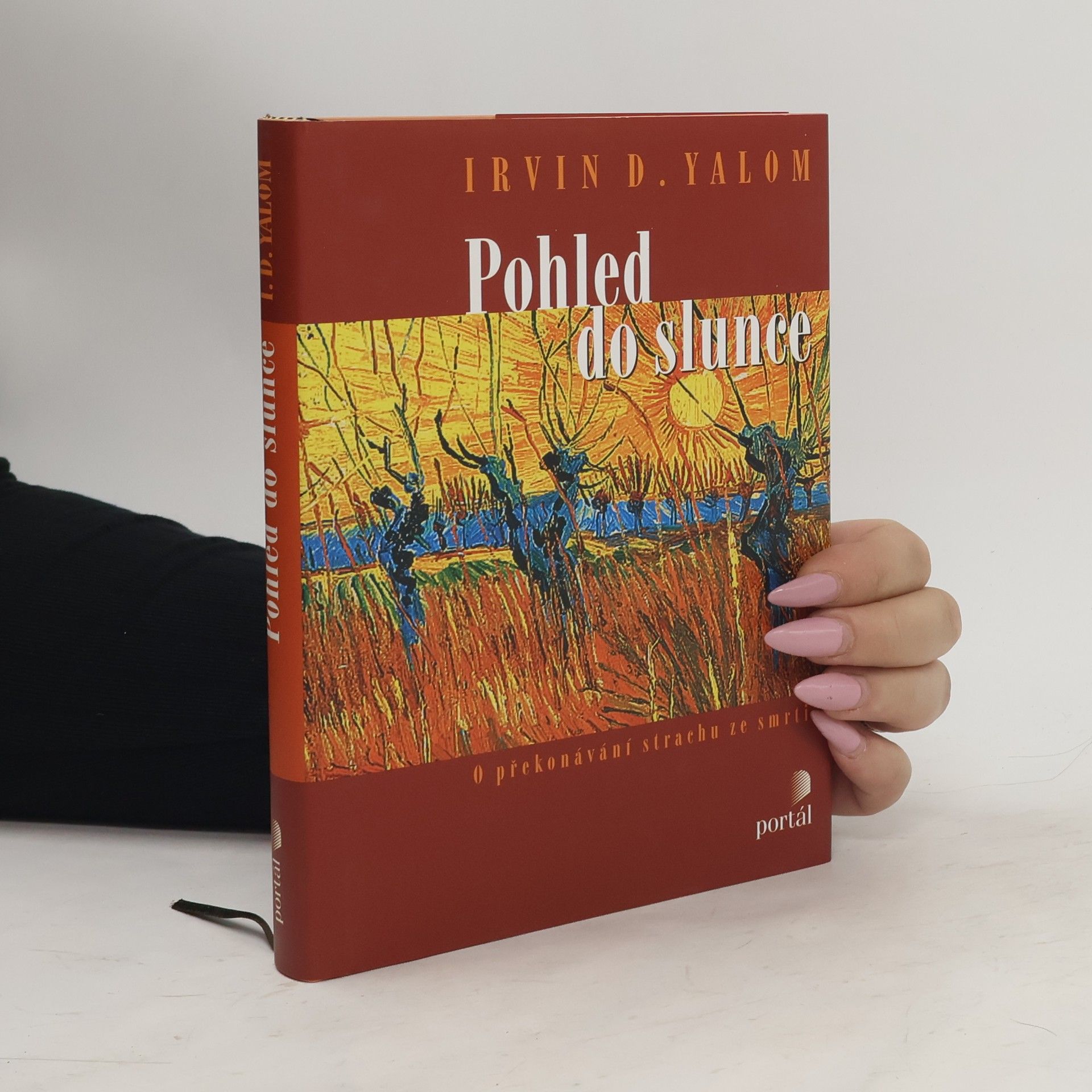 Irvin D. Yalom Pohled do slunce