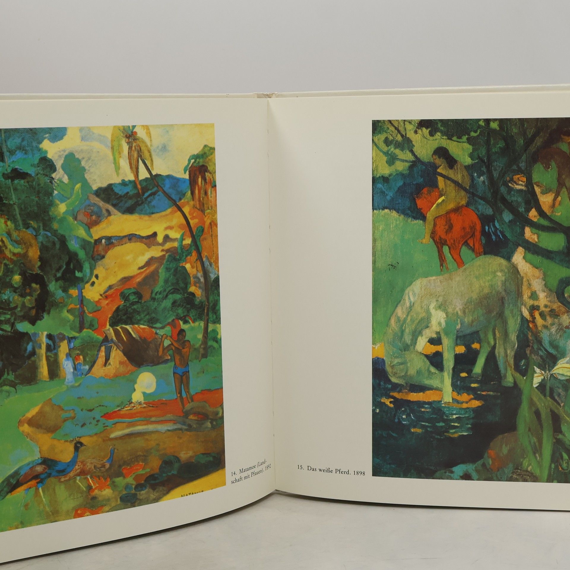 Wolfgang Stadler Paul Gauguin, Südseezauber