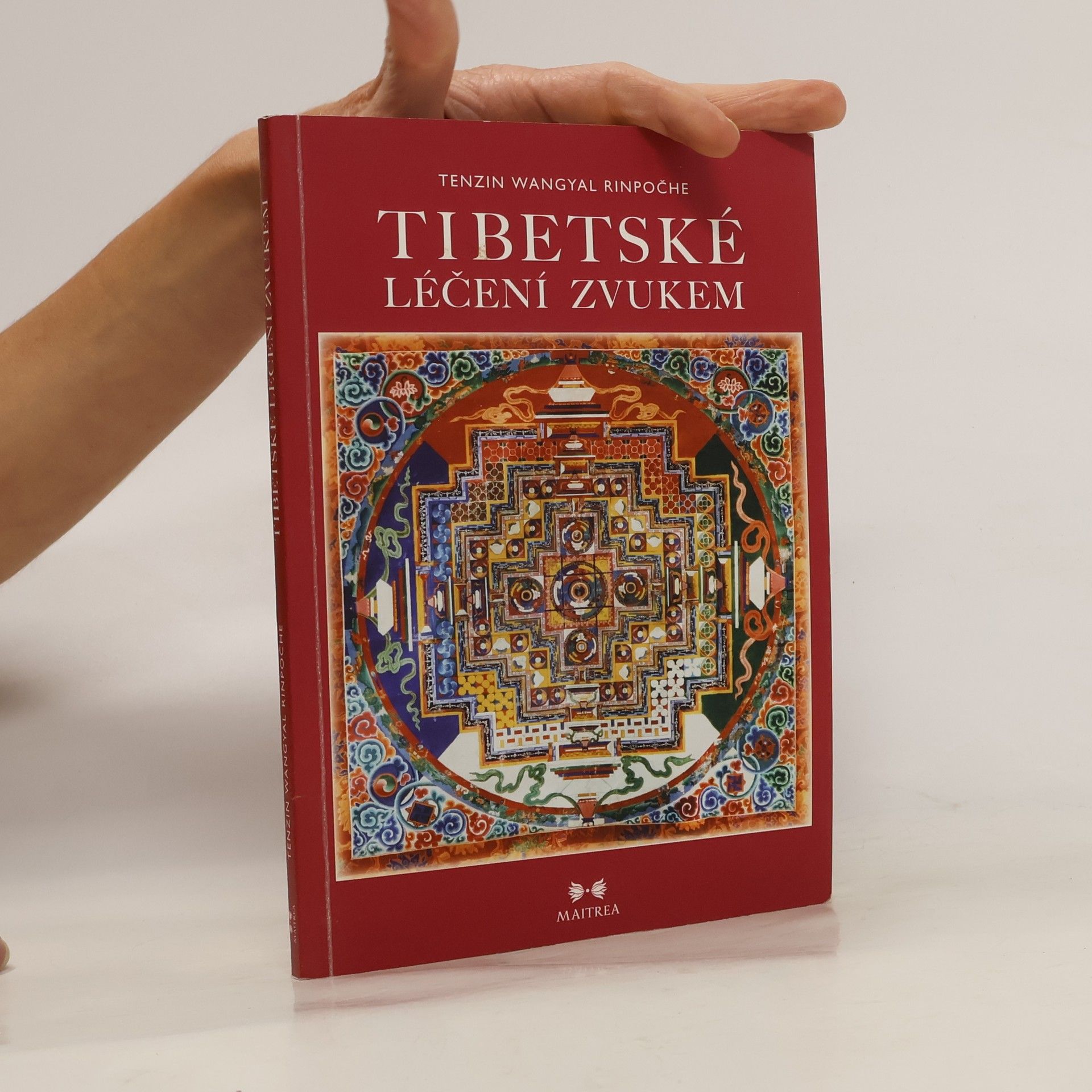 Tenzin Wangyal Rinpoche Tibetské léčení zvukem