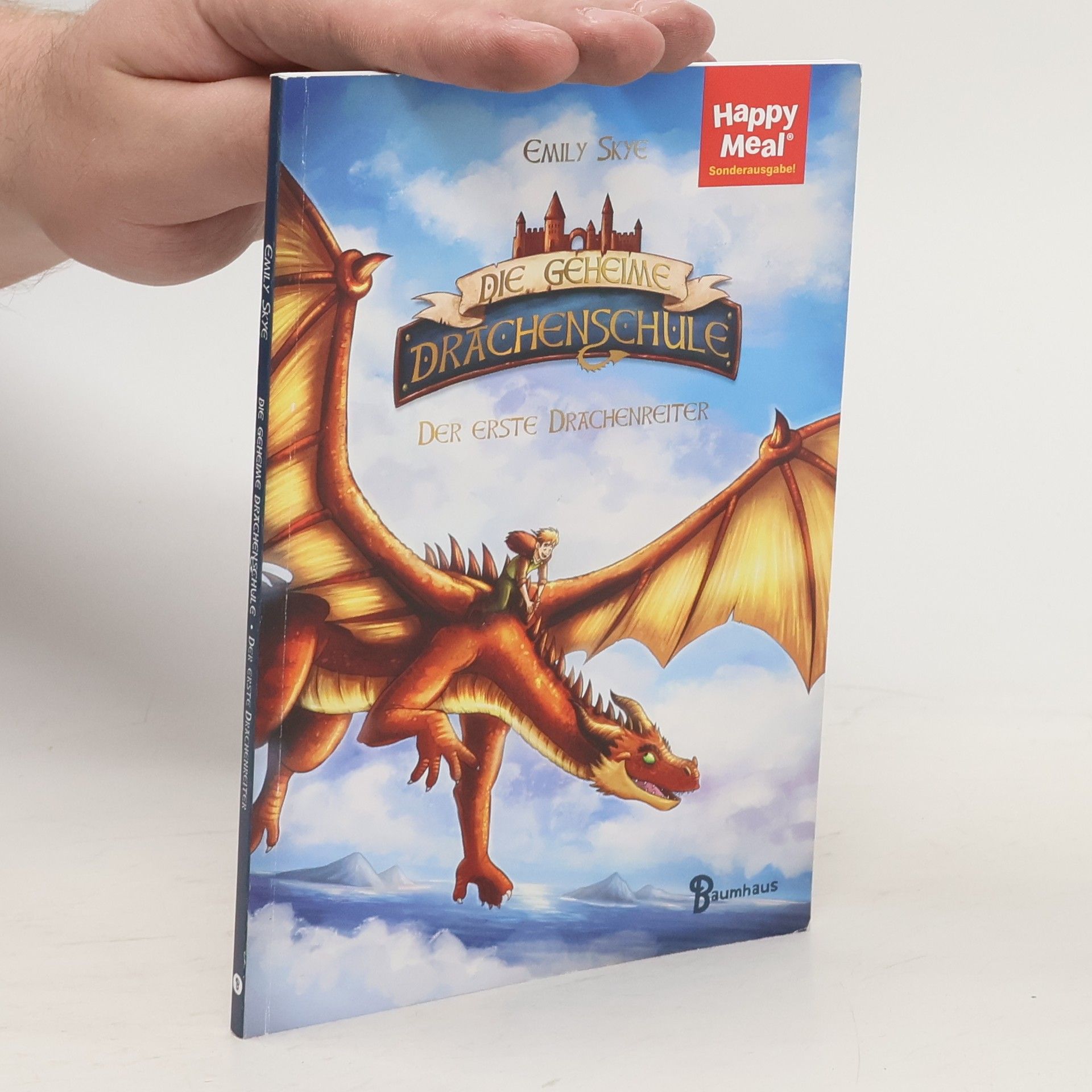 Emily Skye Die geheime Drachenschule