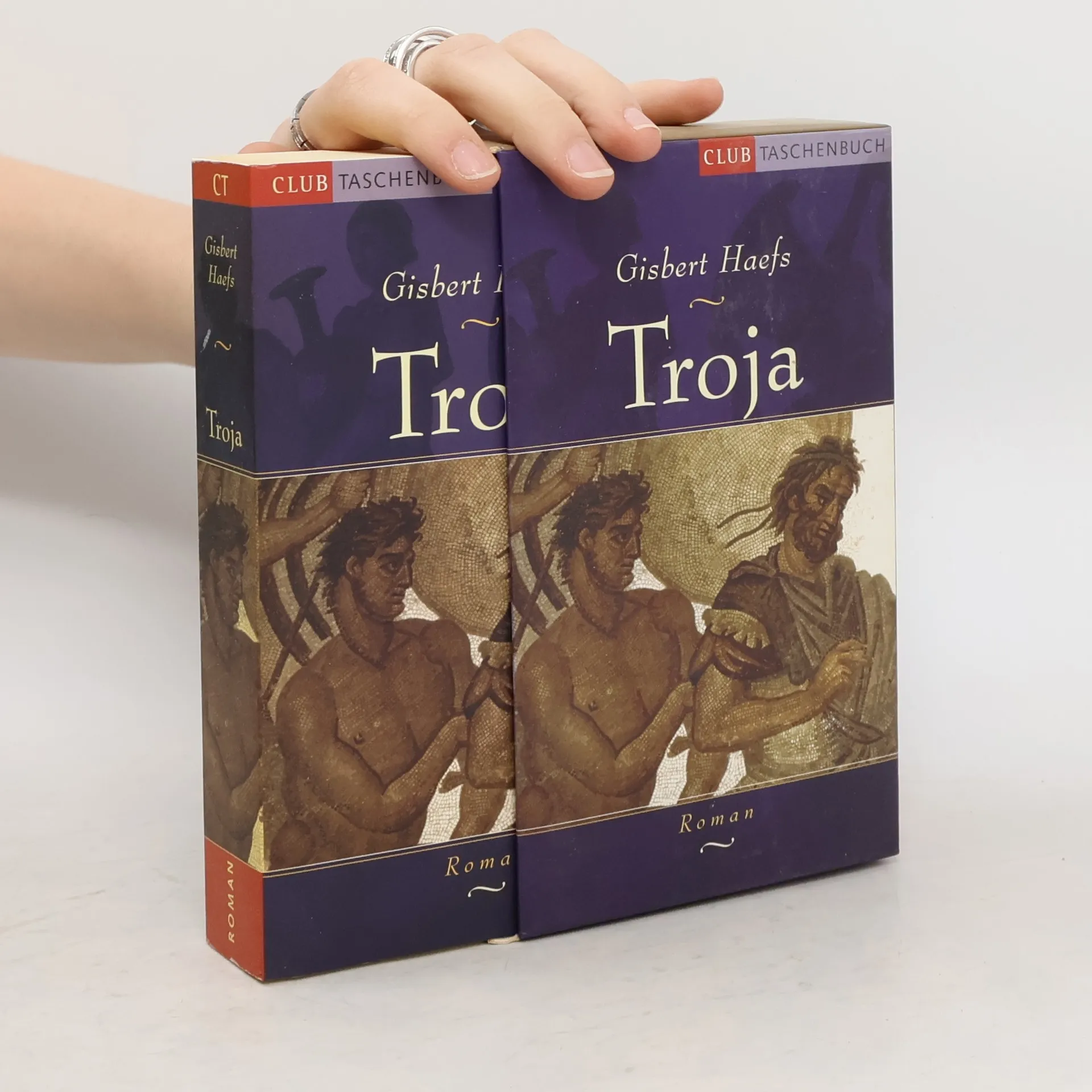 Troja | Book | Paperback | Gisbert Haefs | DE