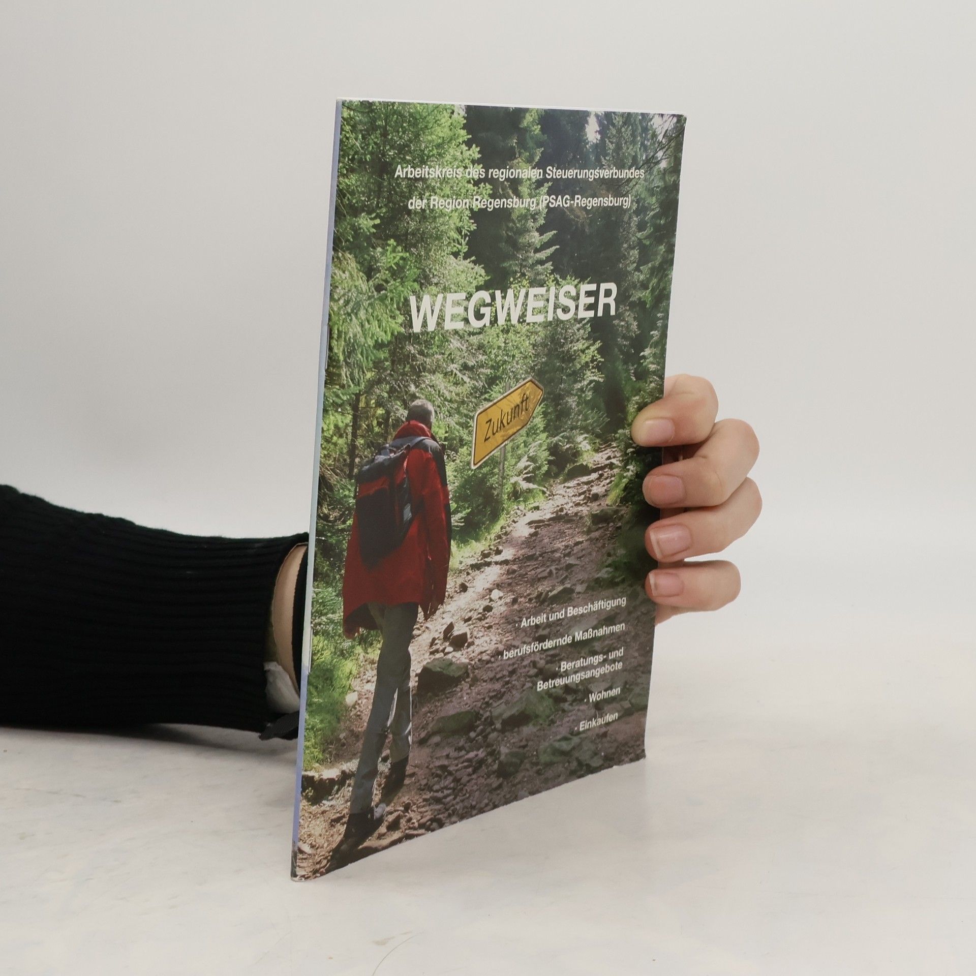 kolektiv Wegweiser