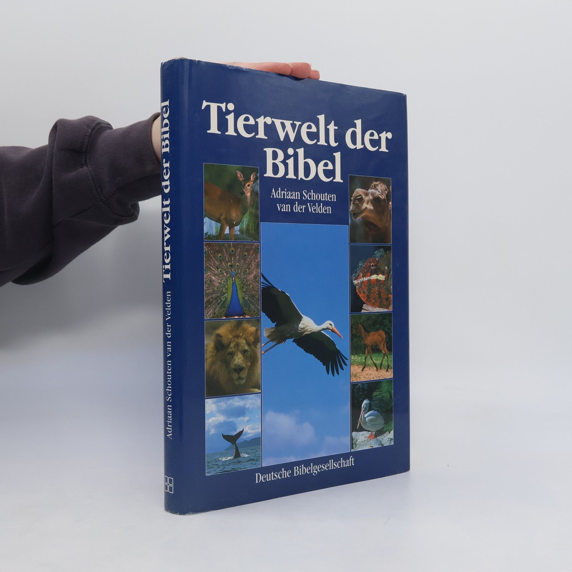 Adriaan Schouten van der Velden Tierwelt der Bibel