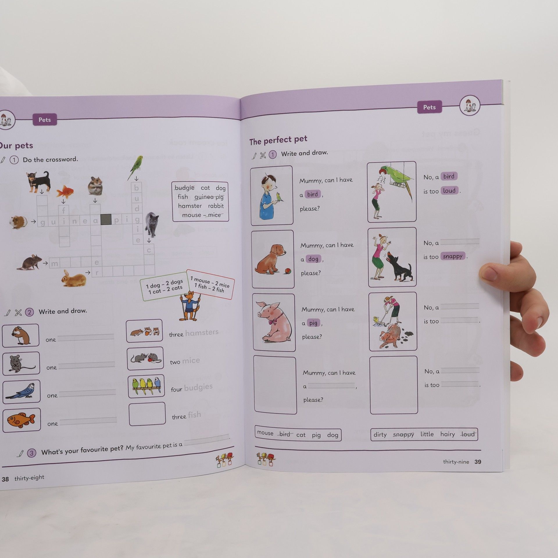 Cornelsen Verlag GmbH Sally 3. Schuljahr. Activity Book Förderheft- Mit Audios, Wortschatzheft und Portfolio-Heft