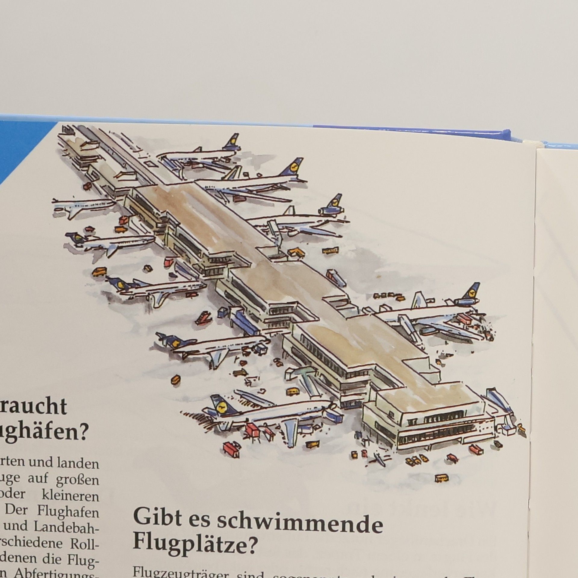 Michael Hofbauer Das grosse Buch der 1000 Fragen und Antworten