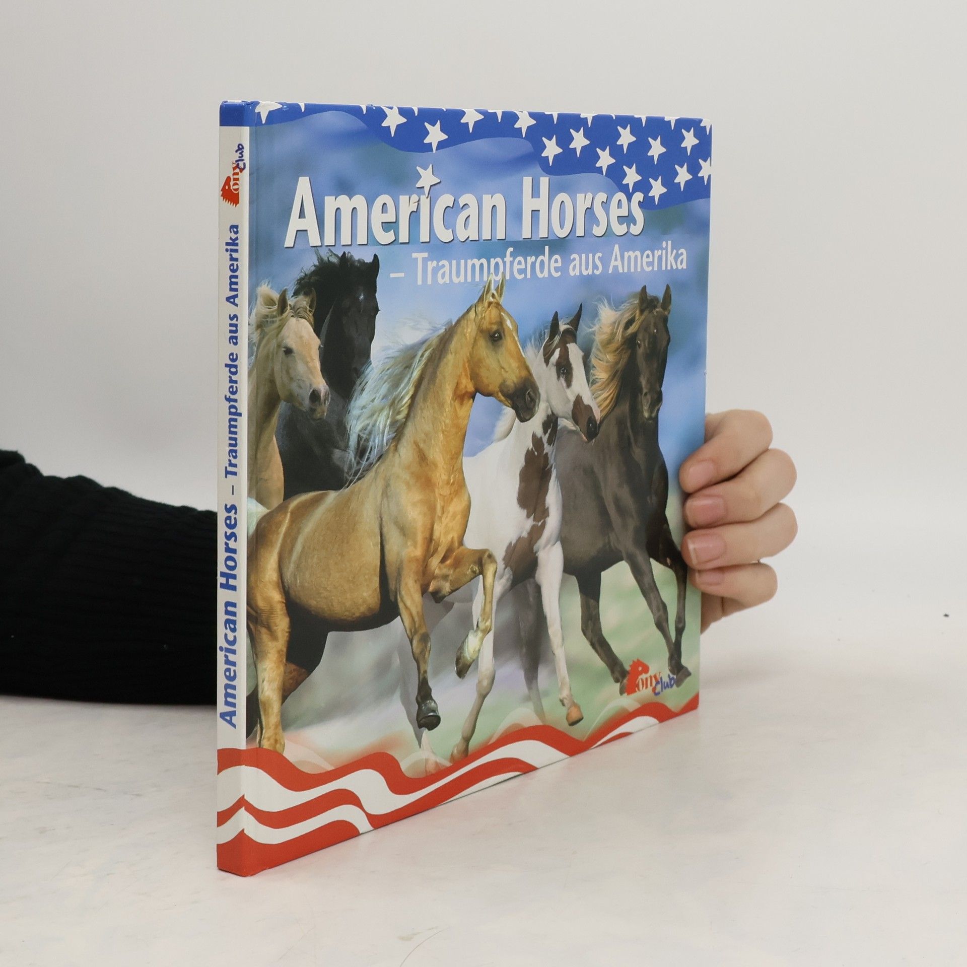 kolektiv American Horses