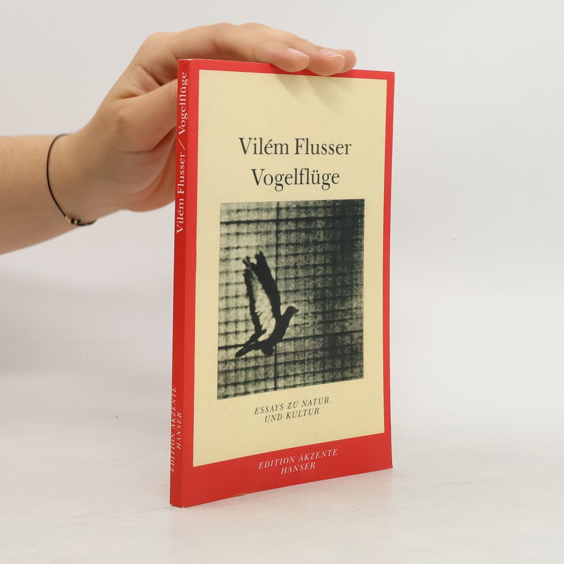 Vilém Flusser Vogelflüge