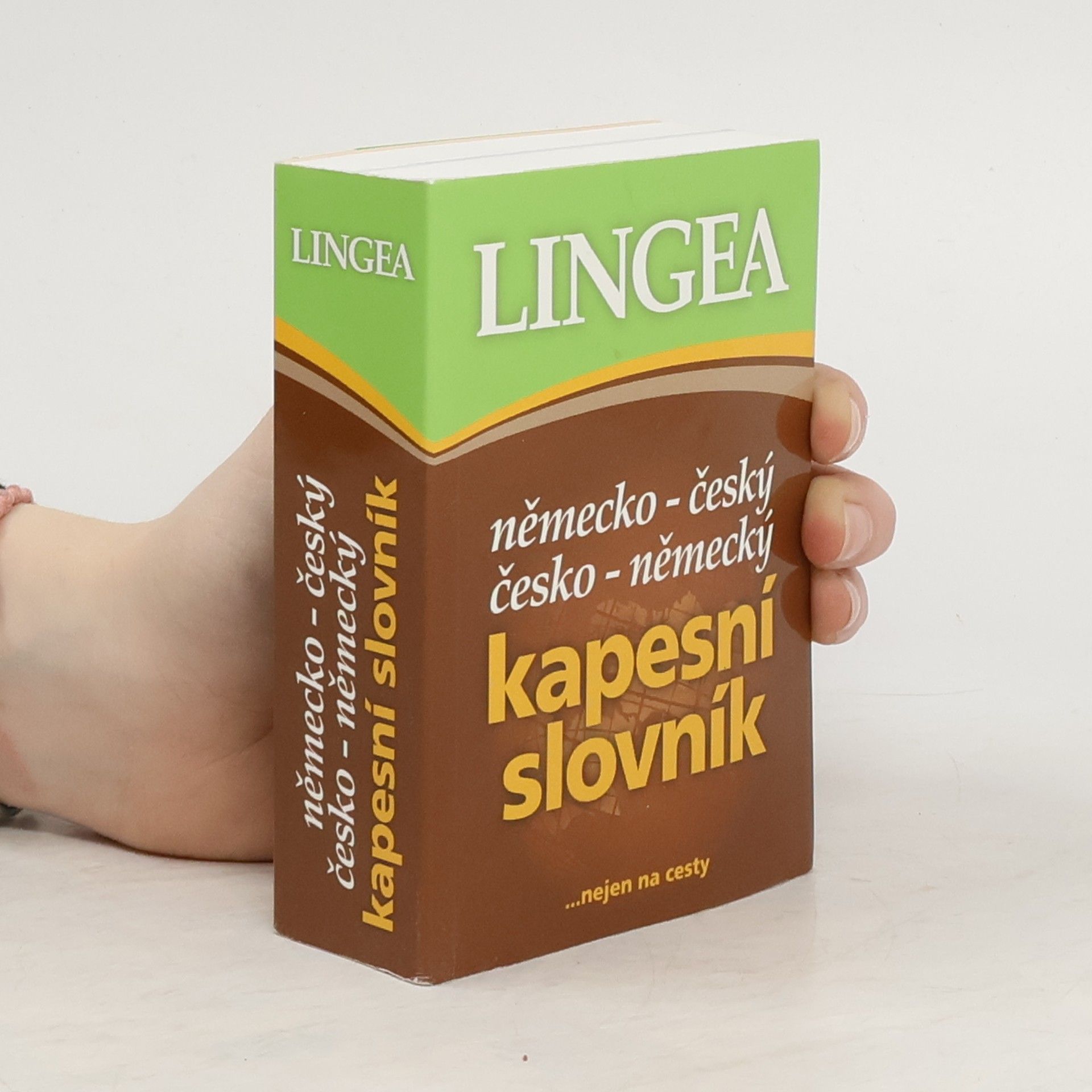 Autorenkollektiv Německo-český, česko-německý kapesní slovník