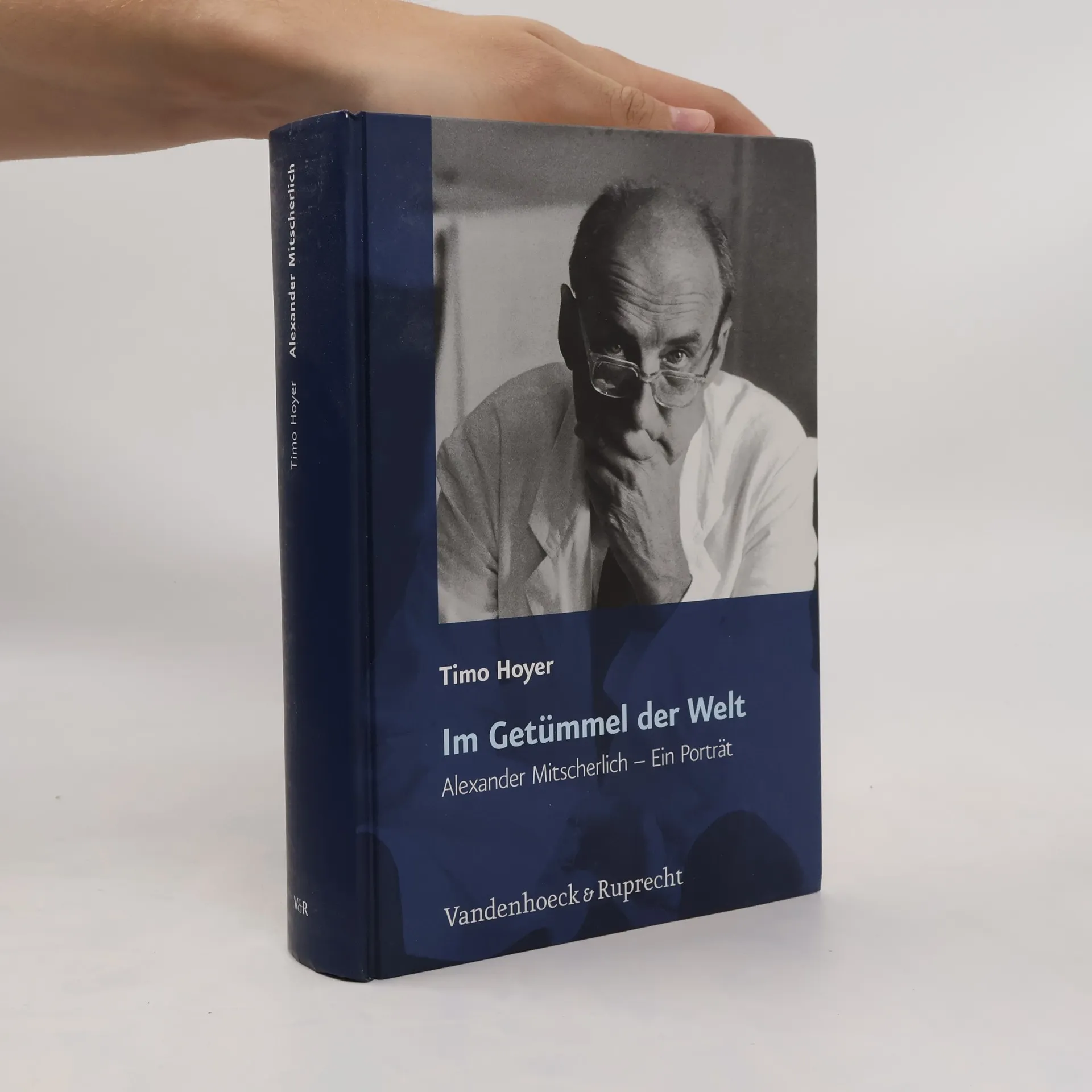 Im Getümmel der Welt | Kniha | Timo Hoyer | DE