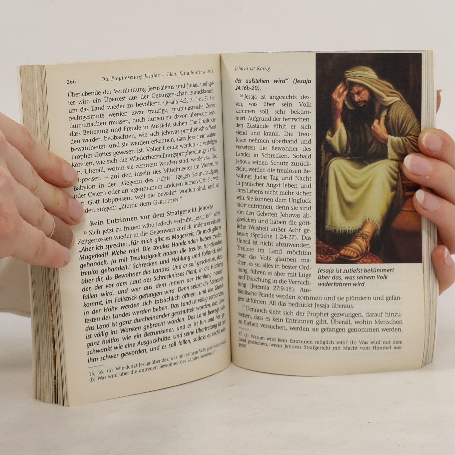 Autorenkollektiv Die Prophezeiung Jesajas. Licht für alle Menschen 1