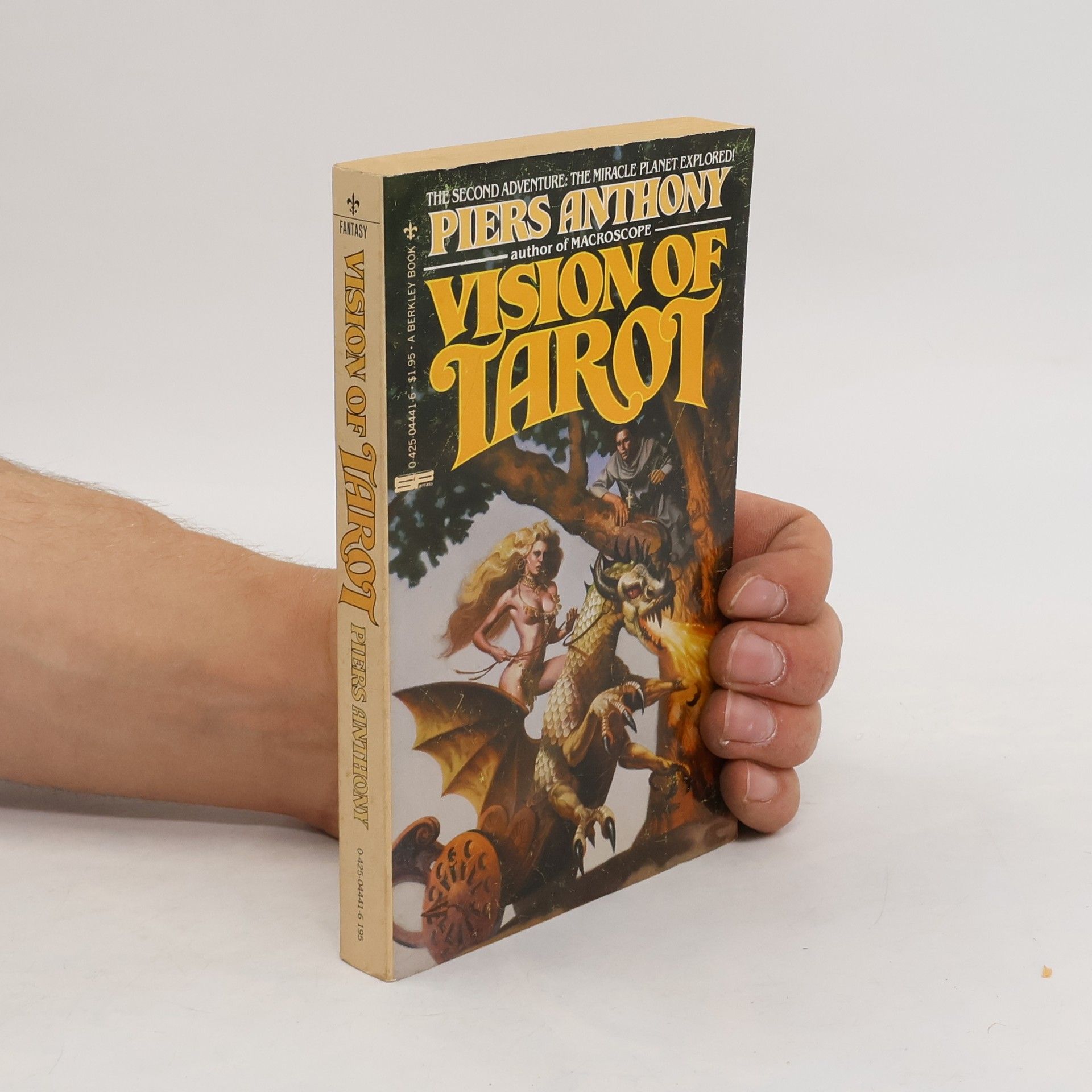 Piers Anthony Vision of Tarot