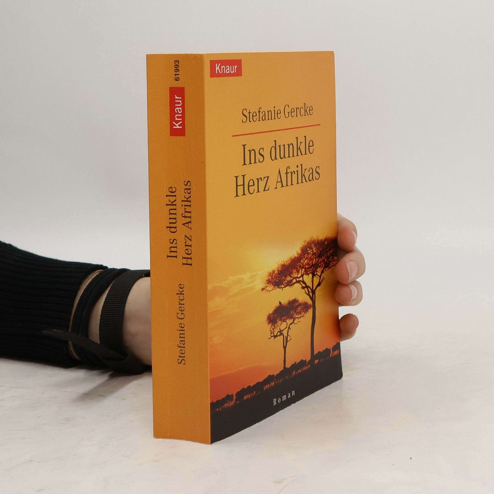 Stefanie Gercke Ins dunkle Herz Afrikas