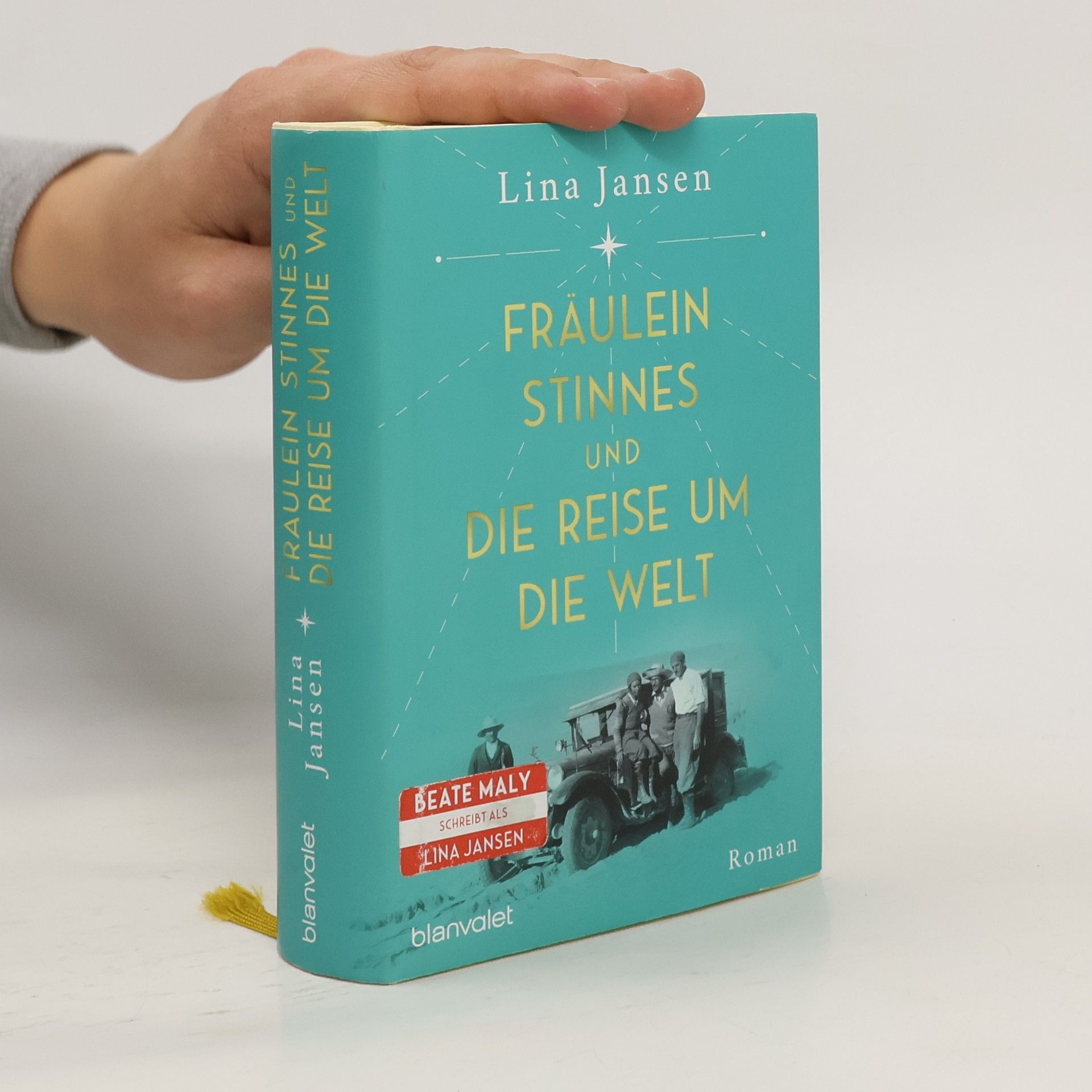 Lina Jansen Fräulein Stinnes und die Reise um die Welt