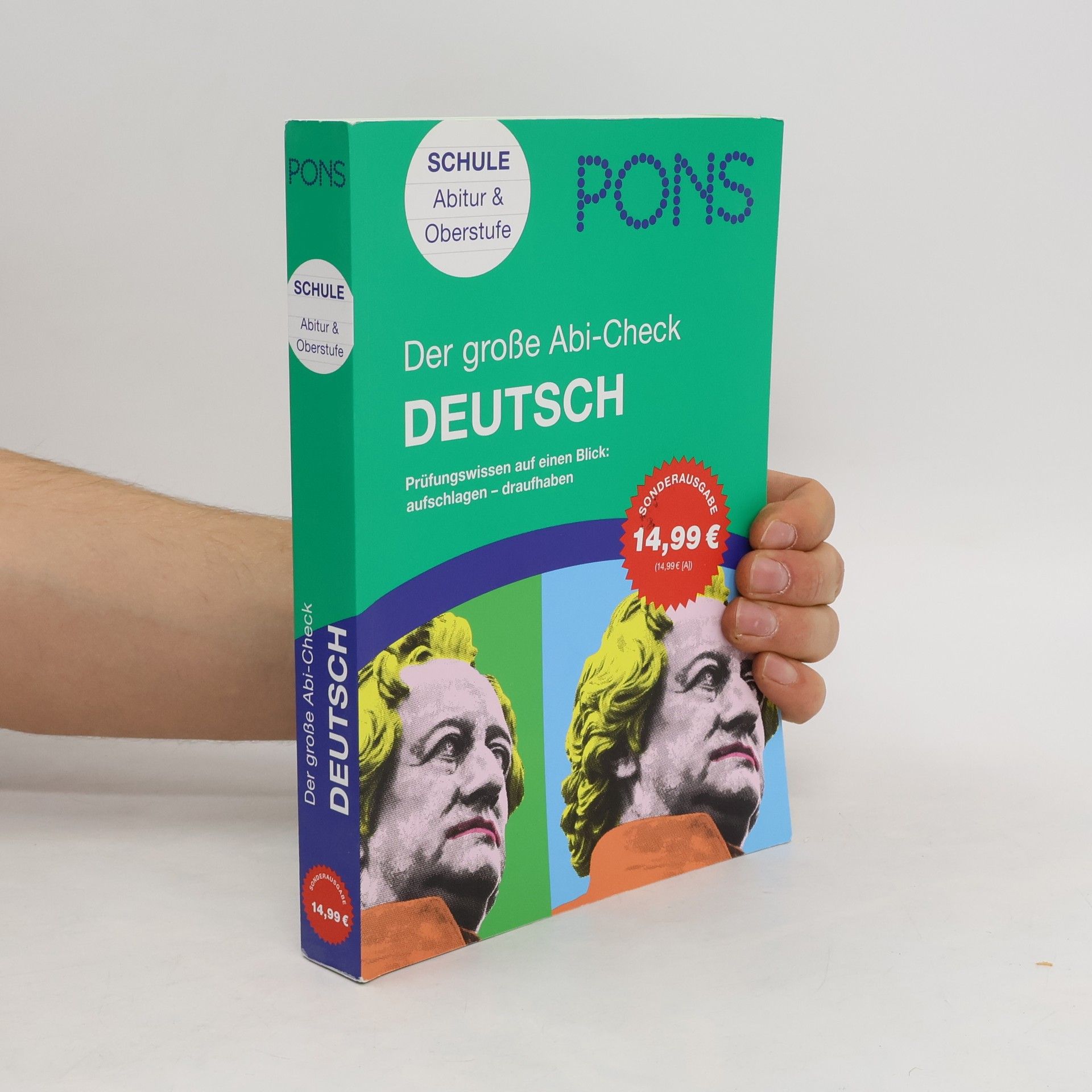 Canan Eulenberger-Özdamar PONS Der große Abicheck Deutsch