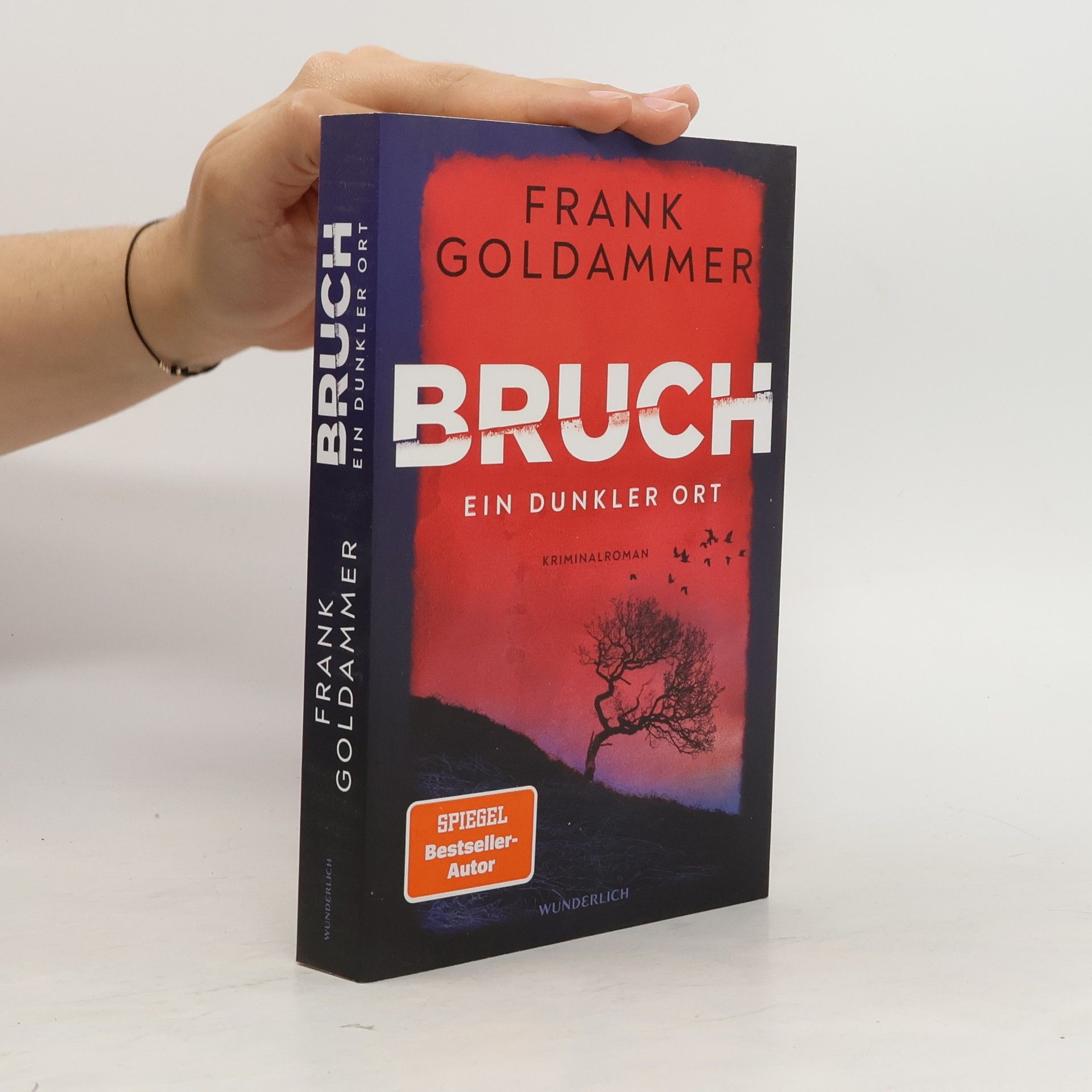 Frank Goldammer Bruch - ein dunkler Ort