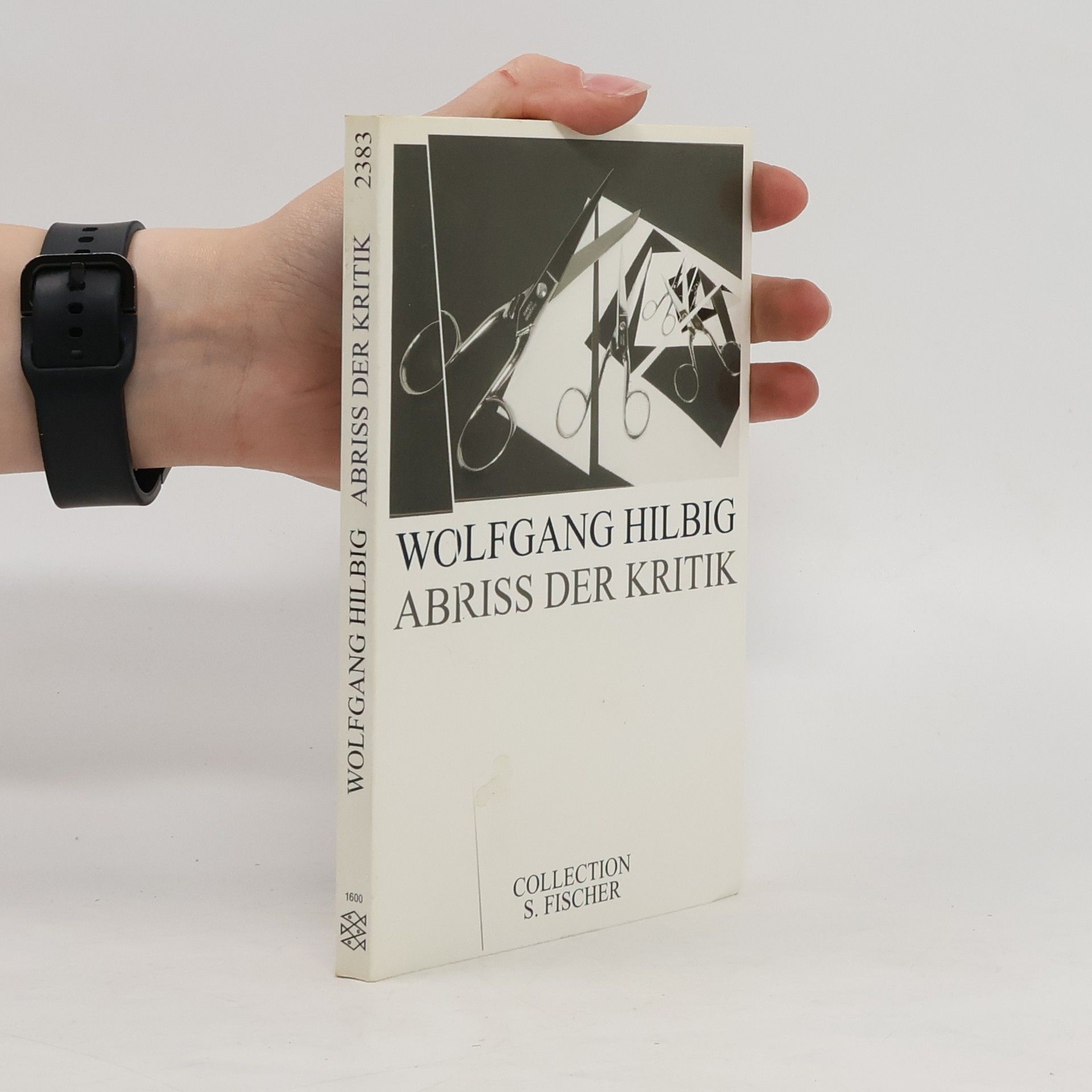 Wolfgang Hilbig Abriss der Kritik