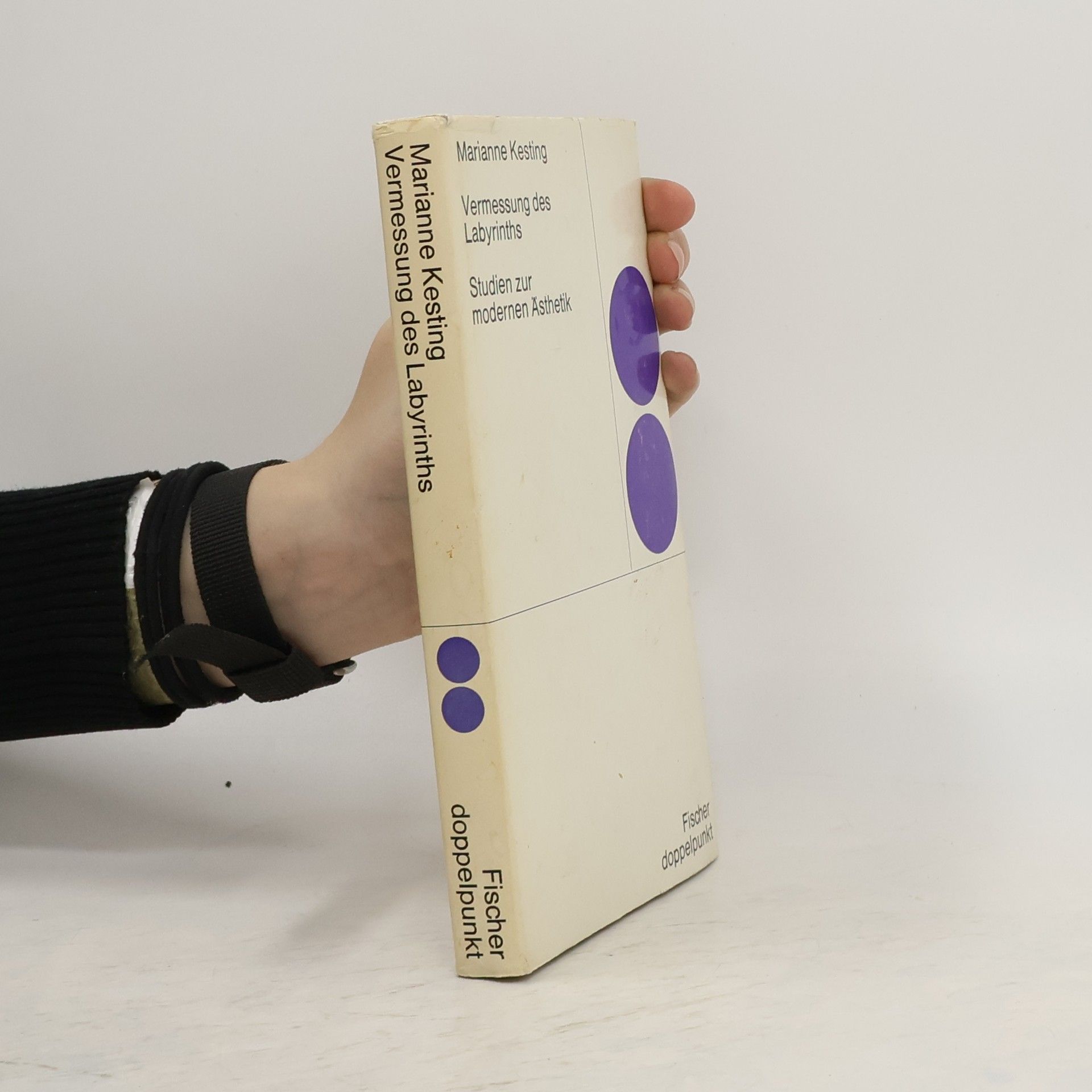 Marianne Kesting Vermessung des Labyrinths