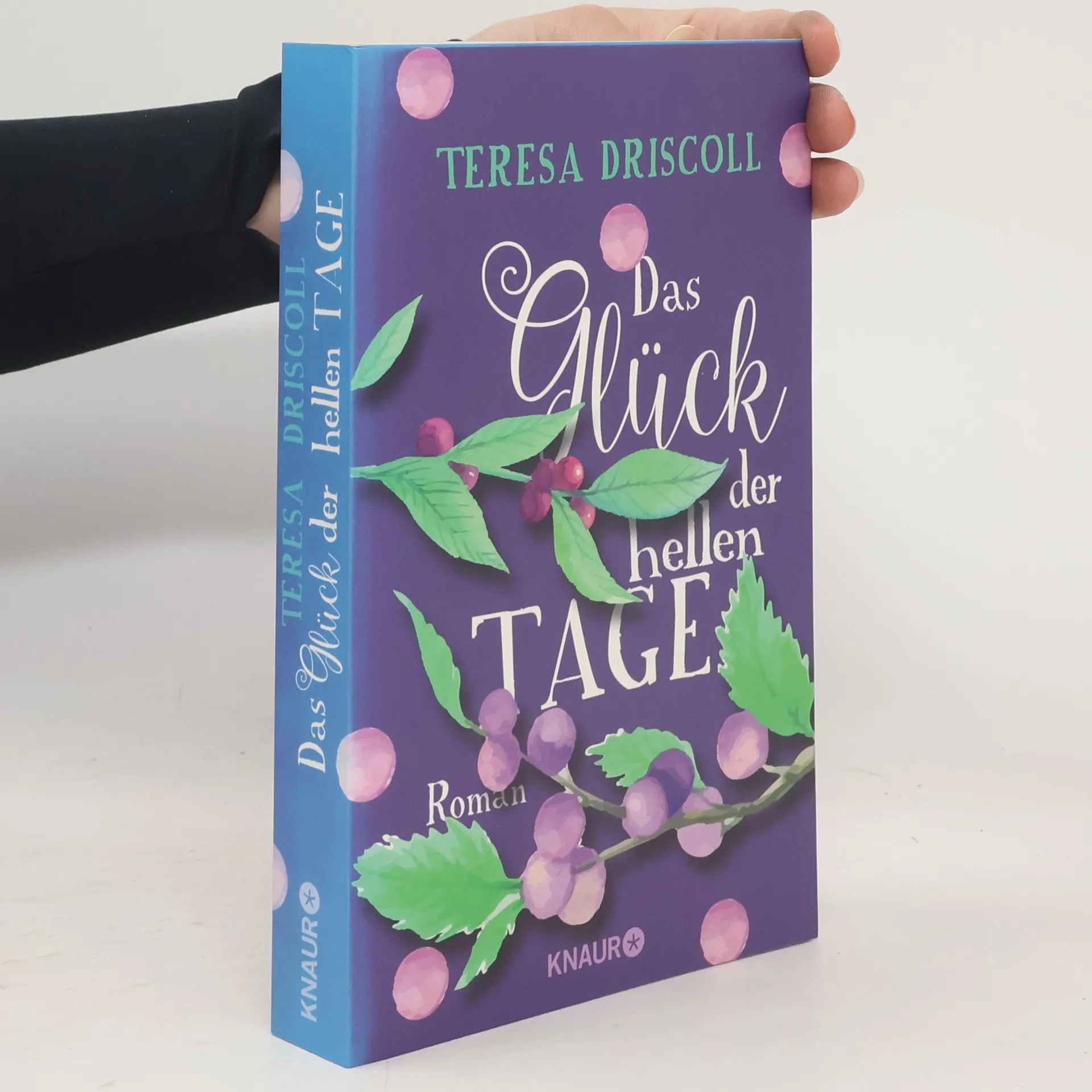 Das Glück der hellen Tage | Buch | Teresa Driscoll