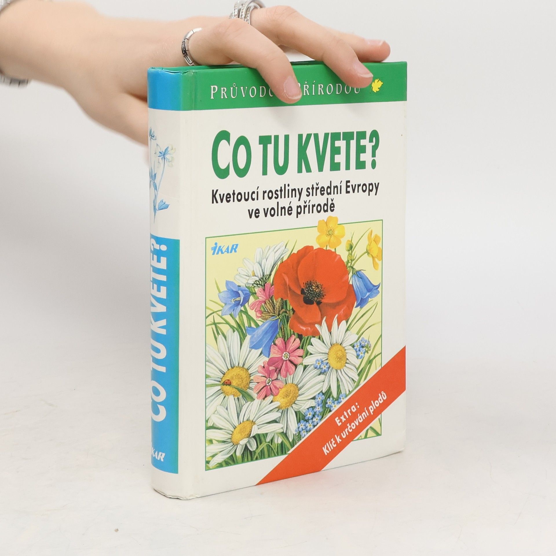Dietmar Aichele Co tu kvete?