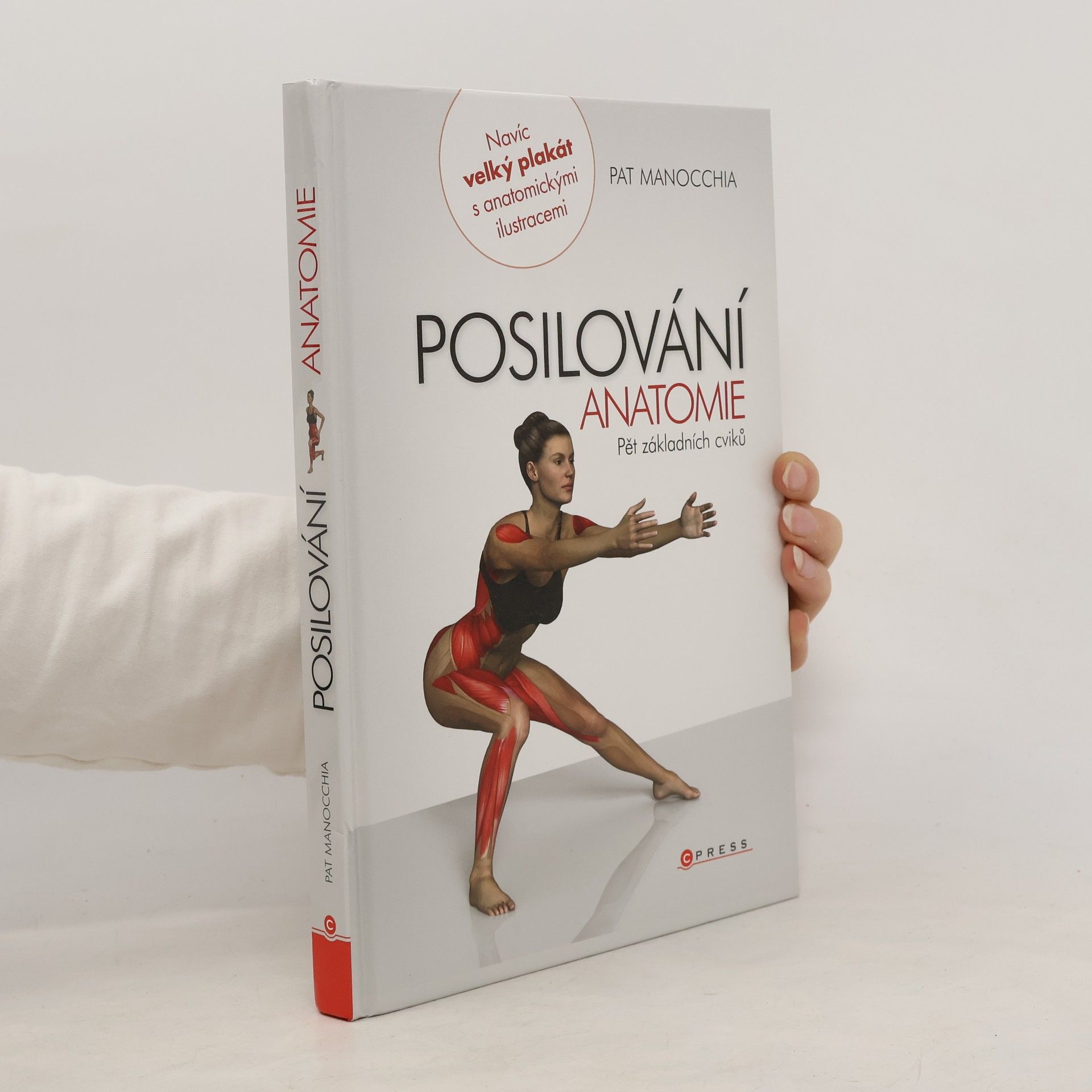 Pat Manocchia Posilování - anatomie. Pět základních cviků