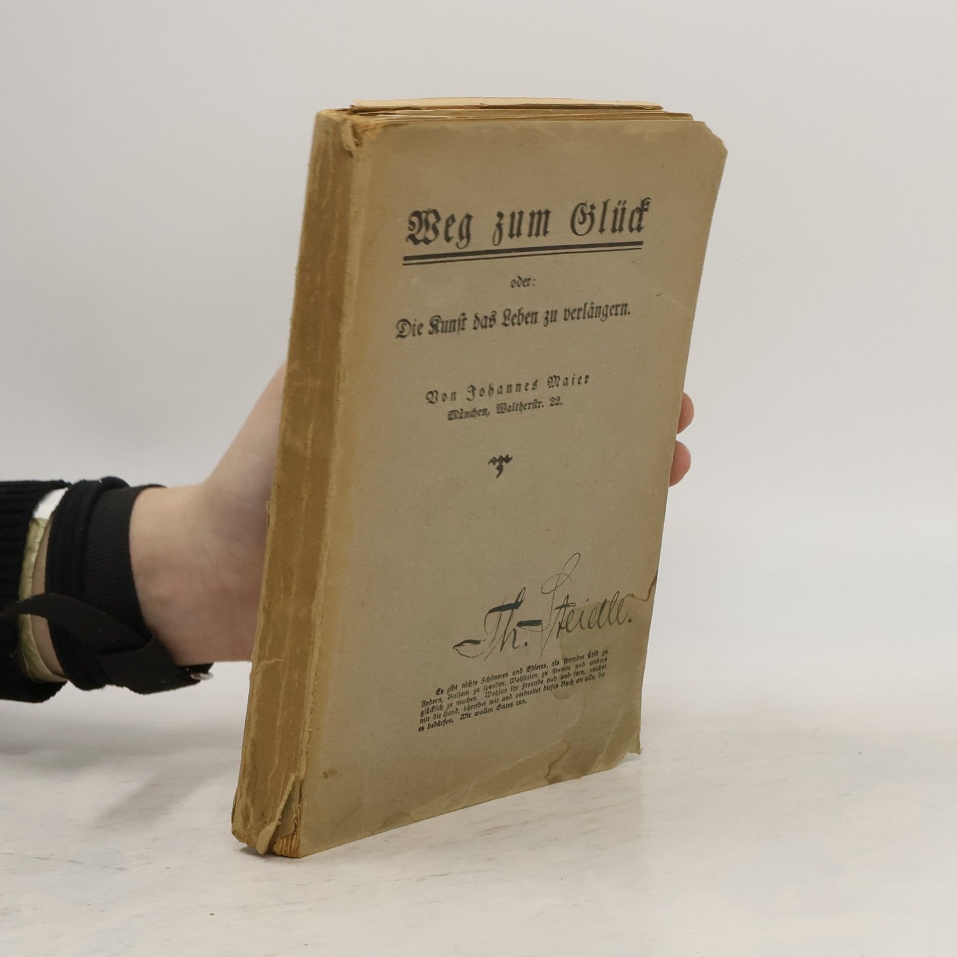 Johannes Maier Volks- und Handbuch der giftfreien Naturheilmethode