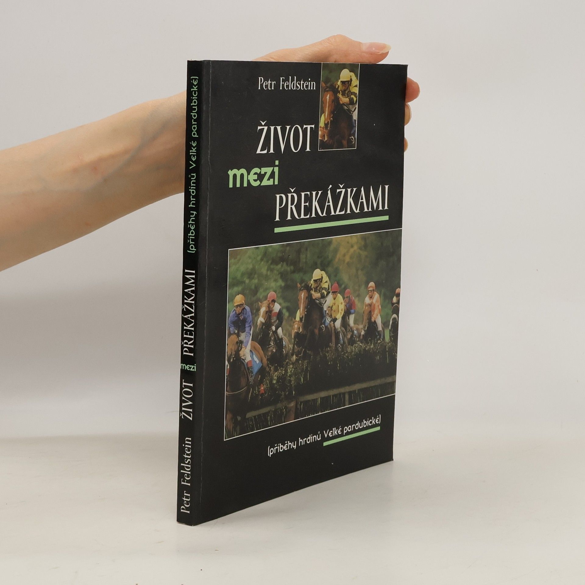 Petr Feldstein Život mezi překážkami