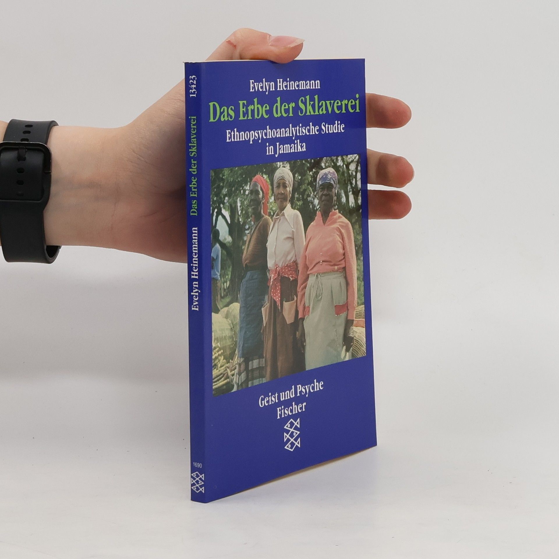 Evelyn Heinemann Das Erbe der Sklaverei