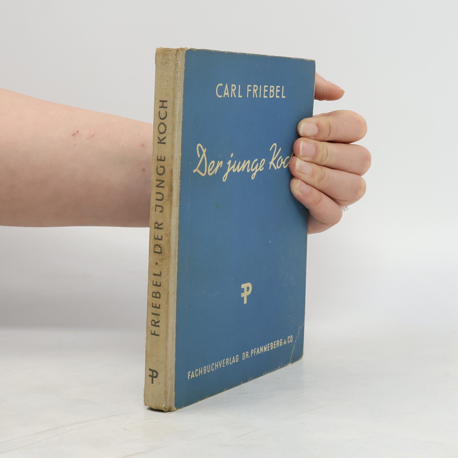Carl Friebel Der junge Koch
