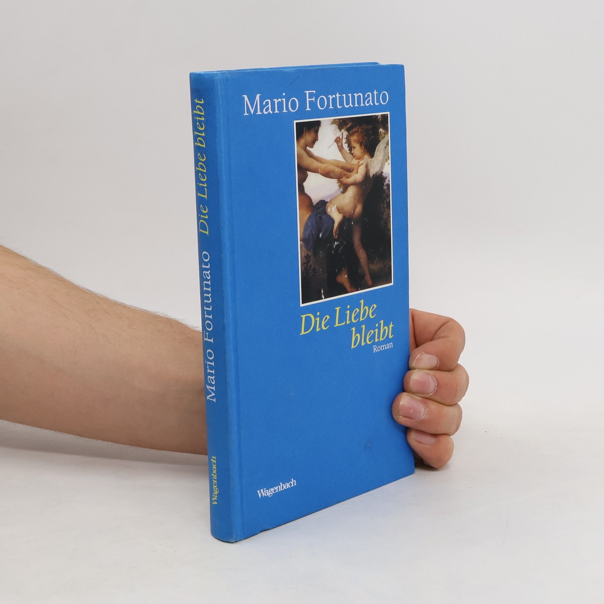 Mario Fortunato Die Liebe bleibt