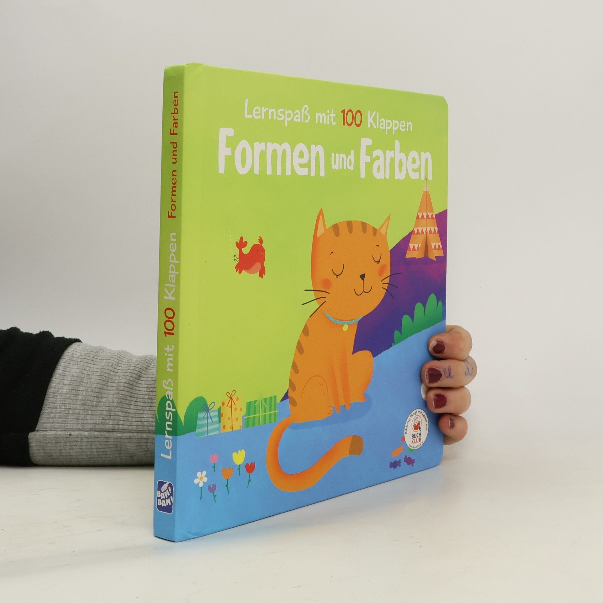 Autorenkollektiv Lernspaß mit 100 Klappen. Formen und Farben