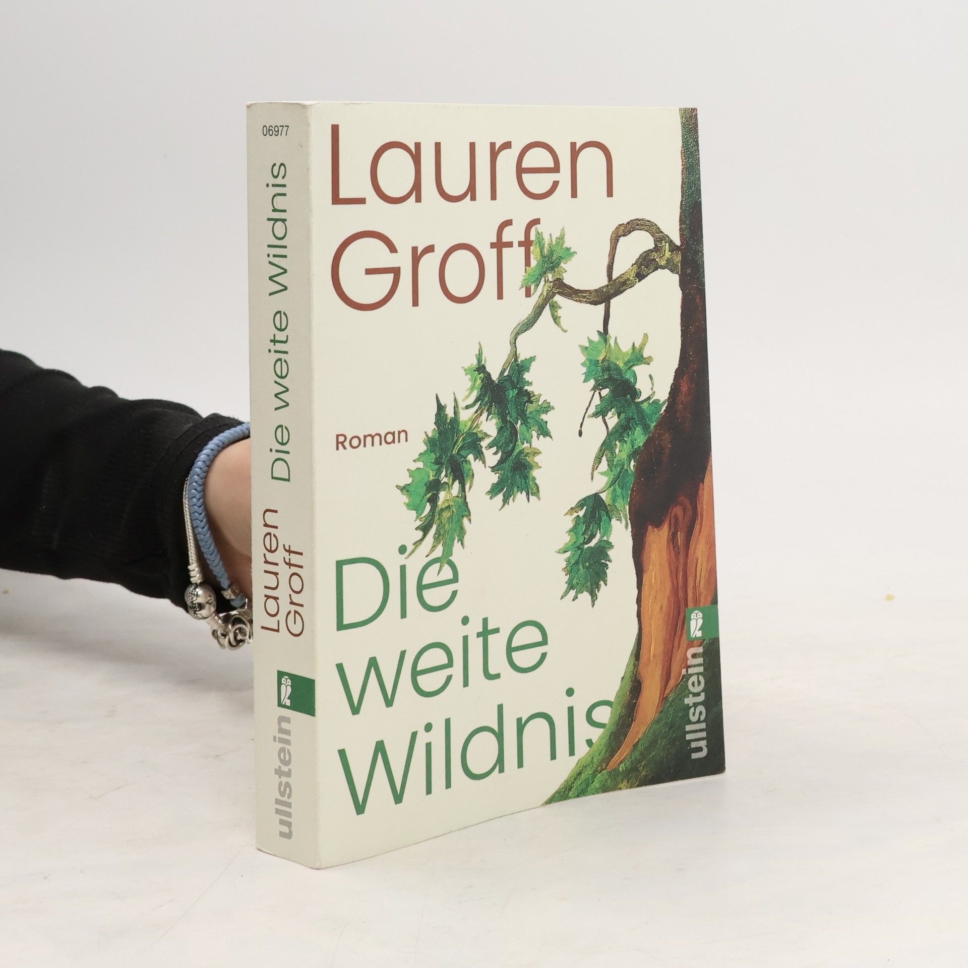 Lauren Groff Die weite Wildnis