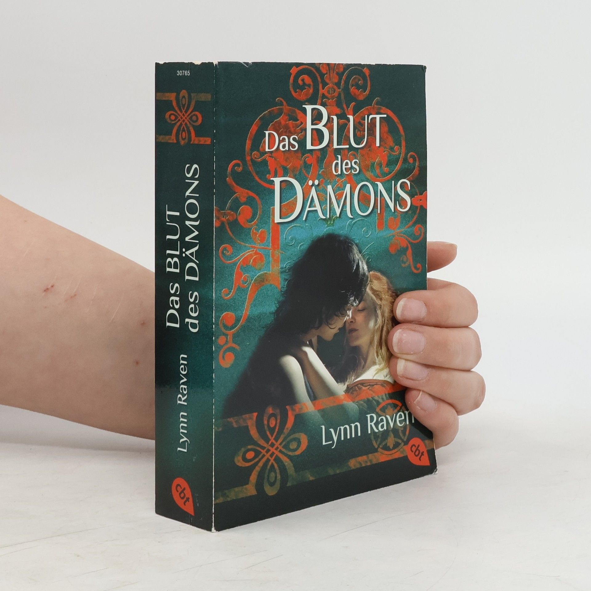 Lynn Raven Das Blut des Dämons
