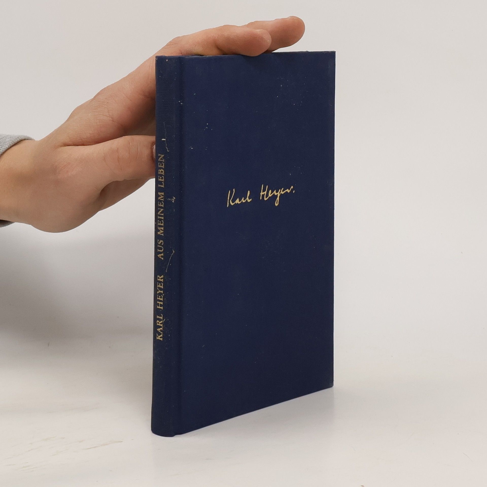 Karl Heyer Aus meinem Leben