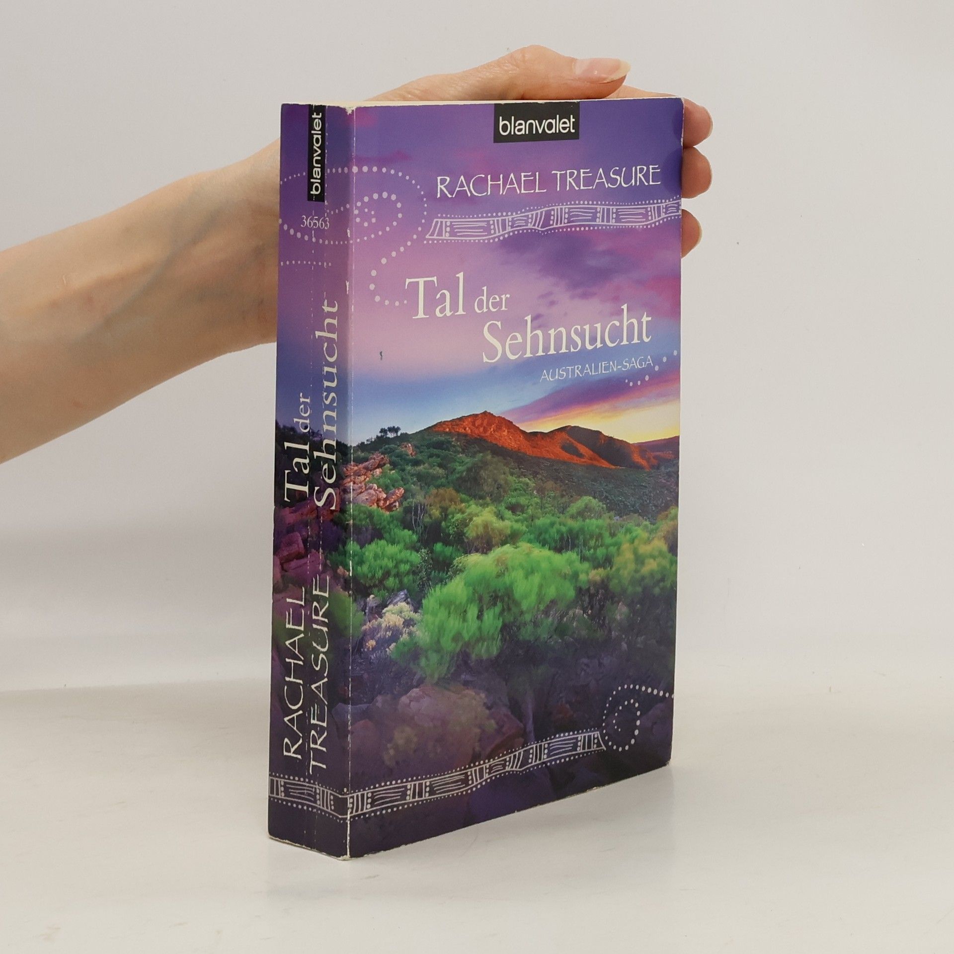 Rachael Treasure Tal der Sehnsucht