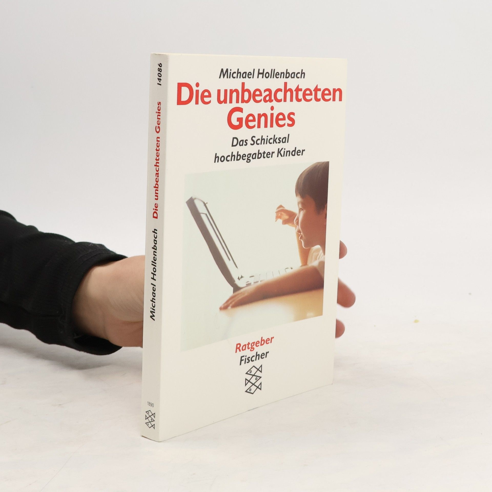 Michael Hollenbach Die unbeachteten Genies