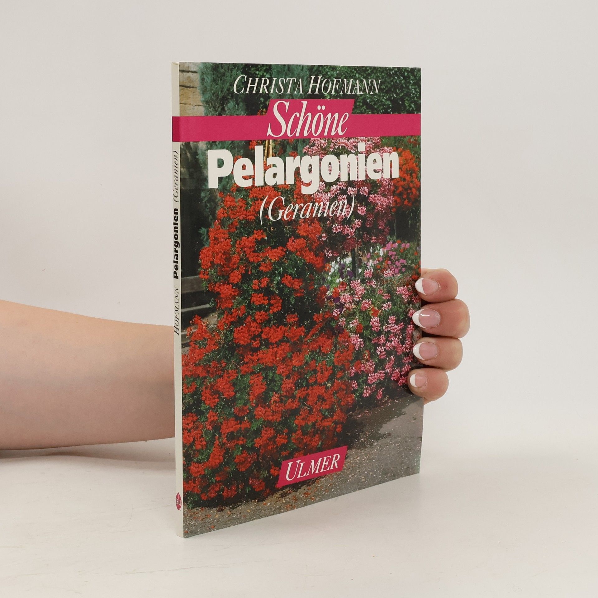 Christa Hofmann Schöne Pelargonien