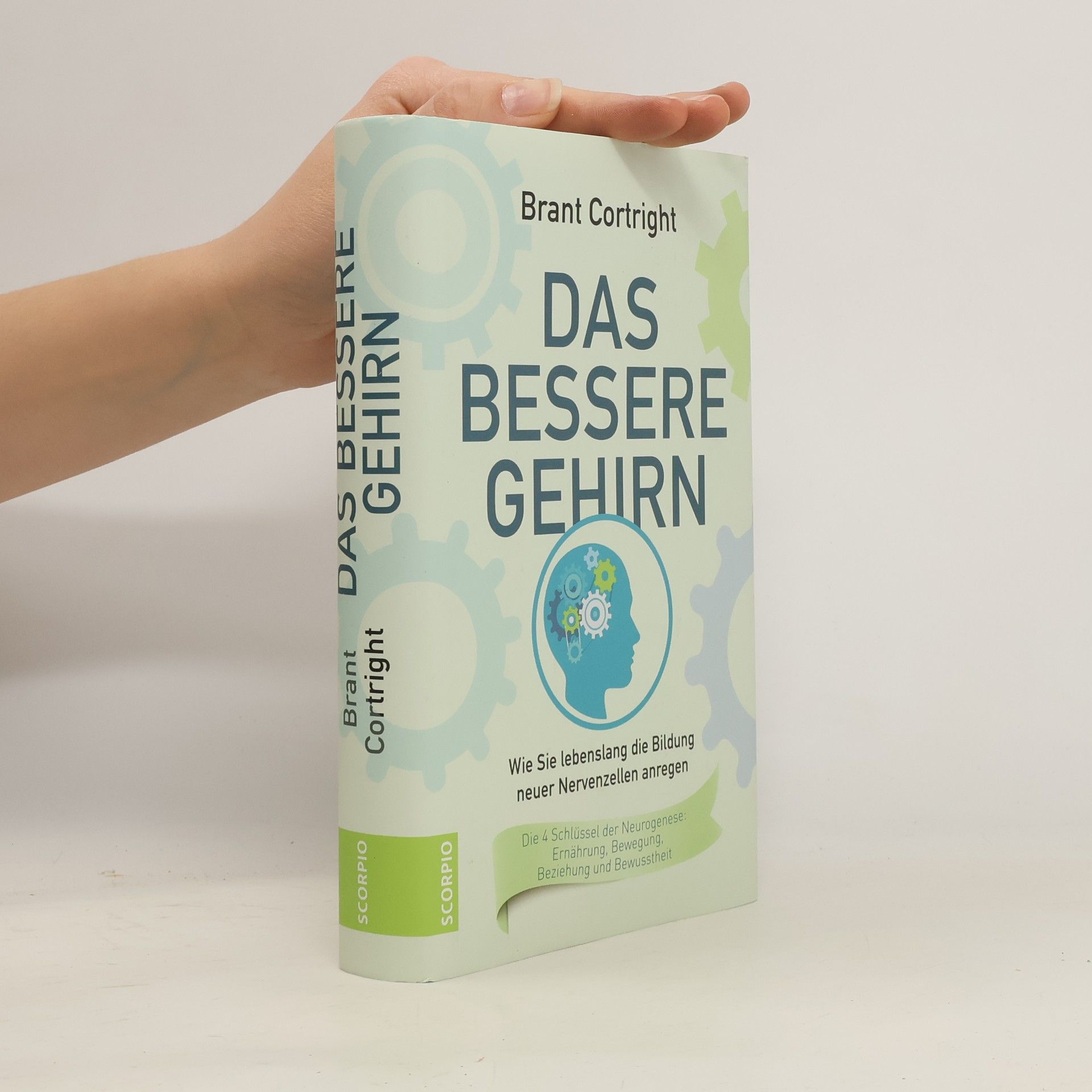 Brant Cortright Das bessere Gehirn