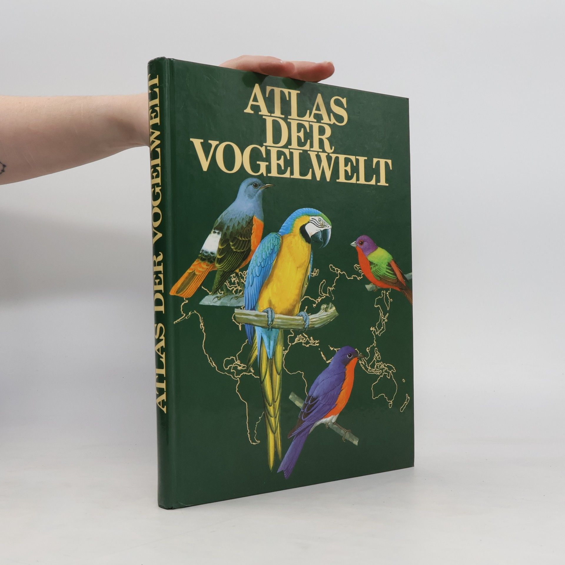 Goetz Rheinwald Atlas der Vogelwelt