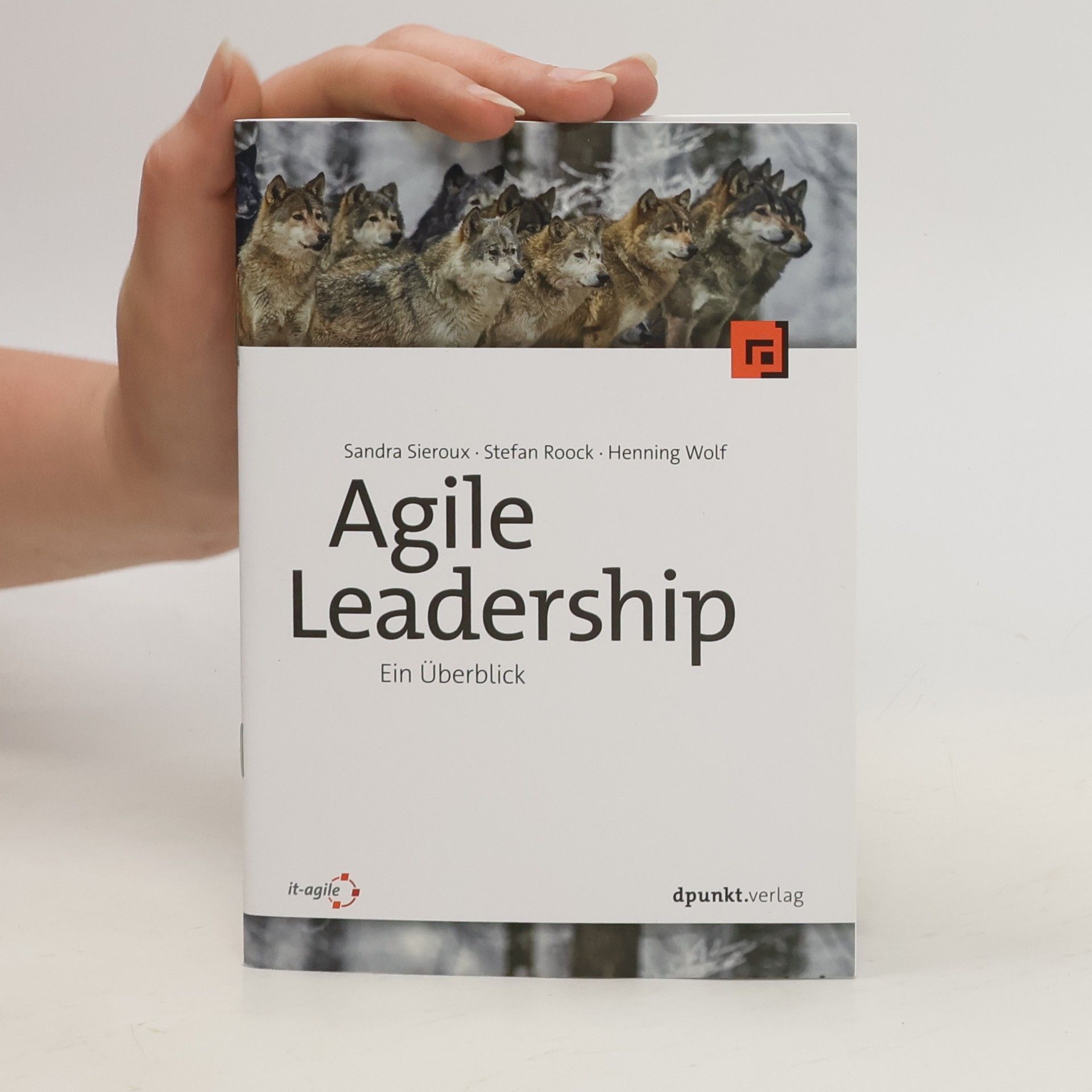 Sandra Sieroux Agile Leadership