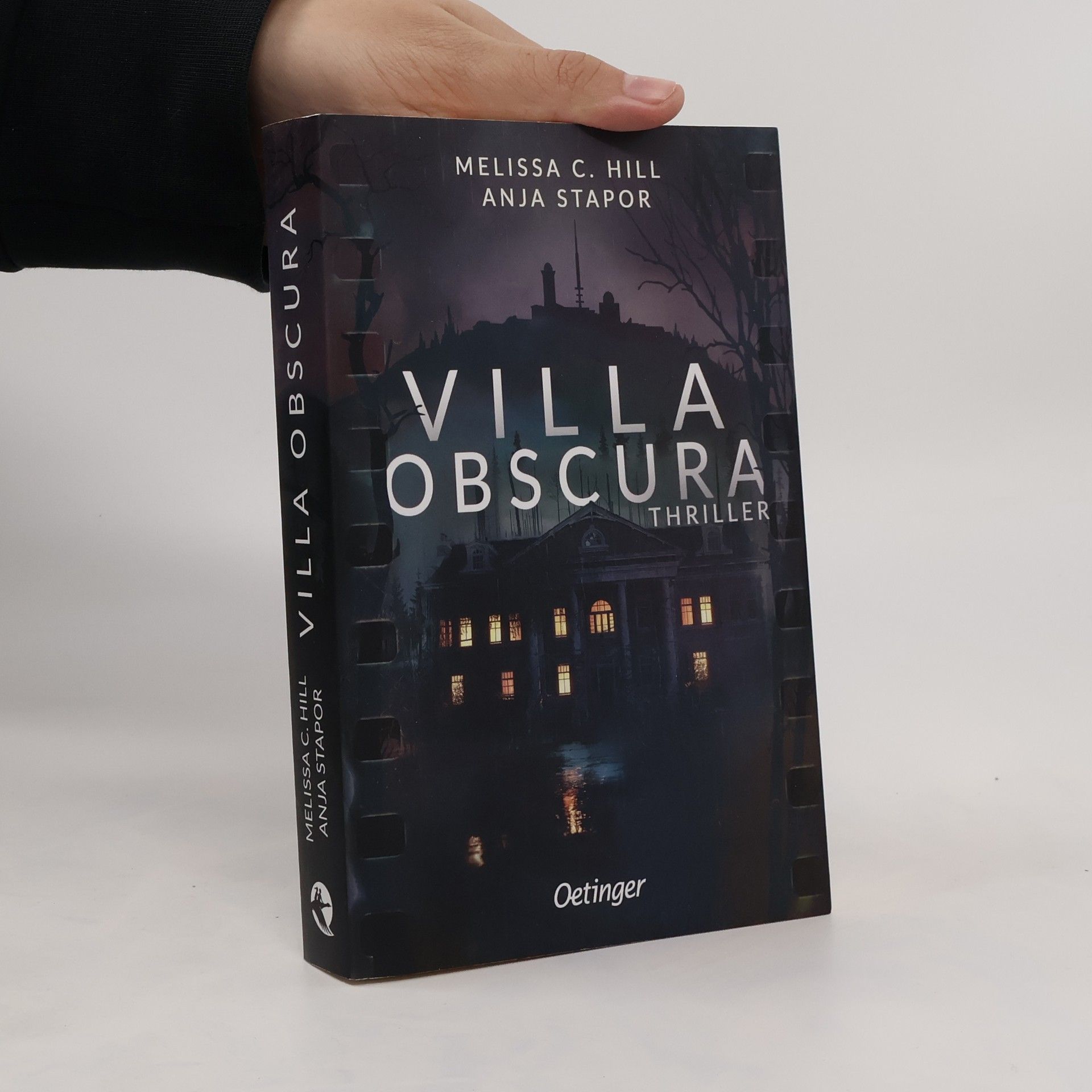 Melissa C. Feurer Villa Obscura. Thriller