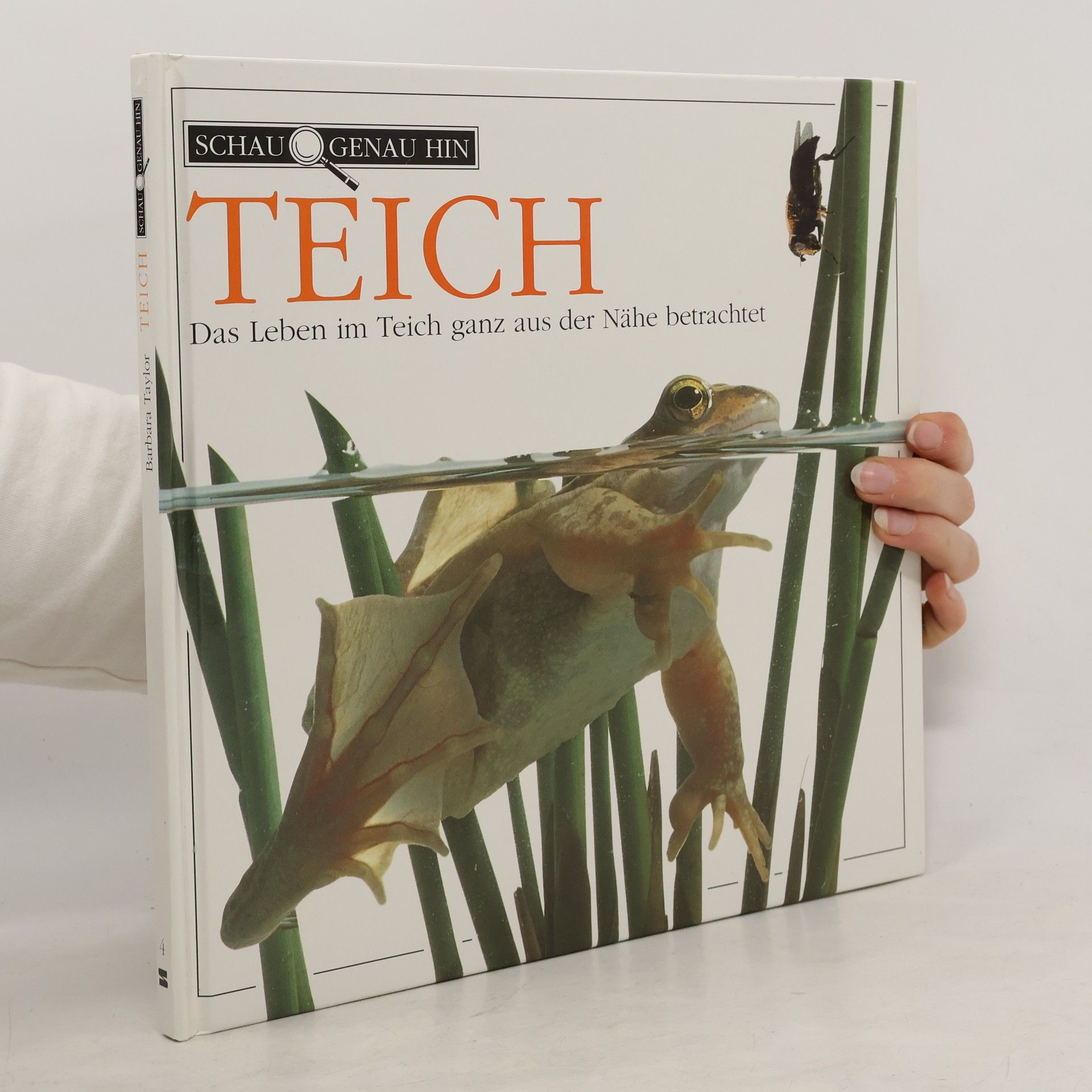 Barbara Taylor Bradford Teich. Das Leben im Teich ganz aus der Nähe betrachtet