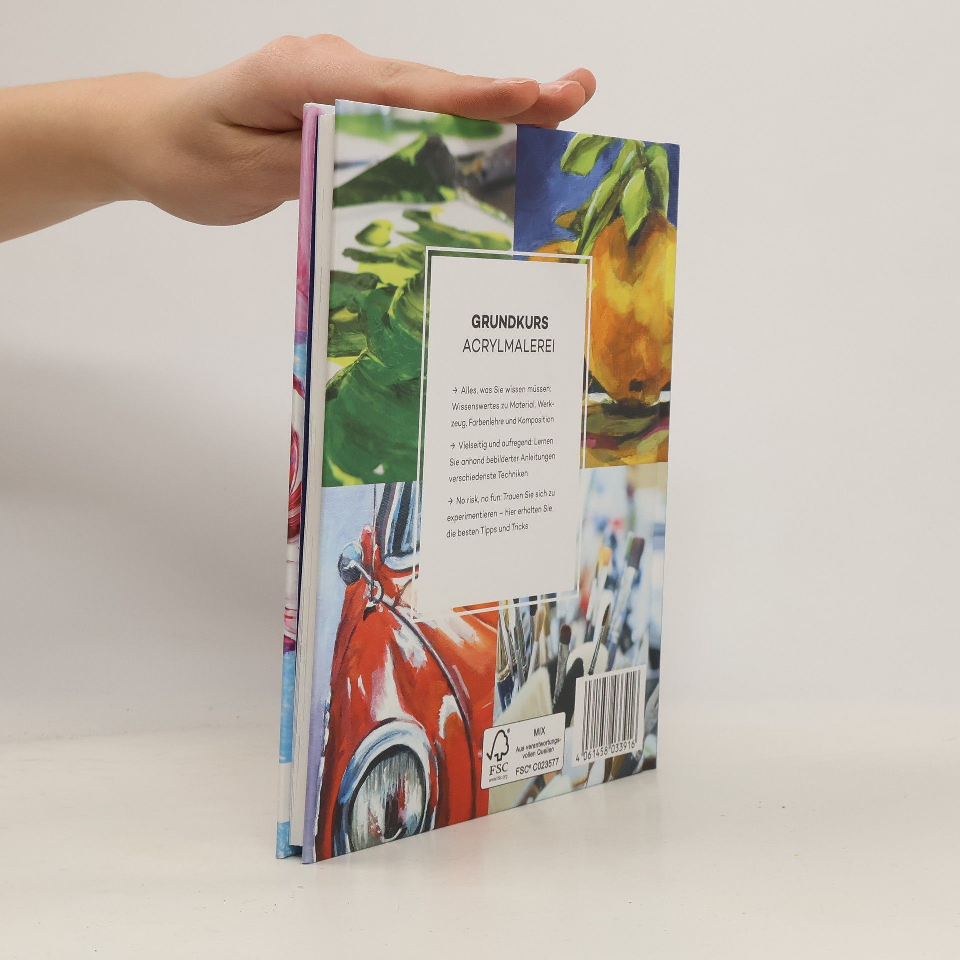 Autorenkollektiv Acryl für Einsteiger