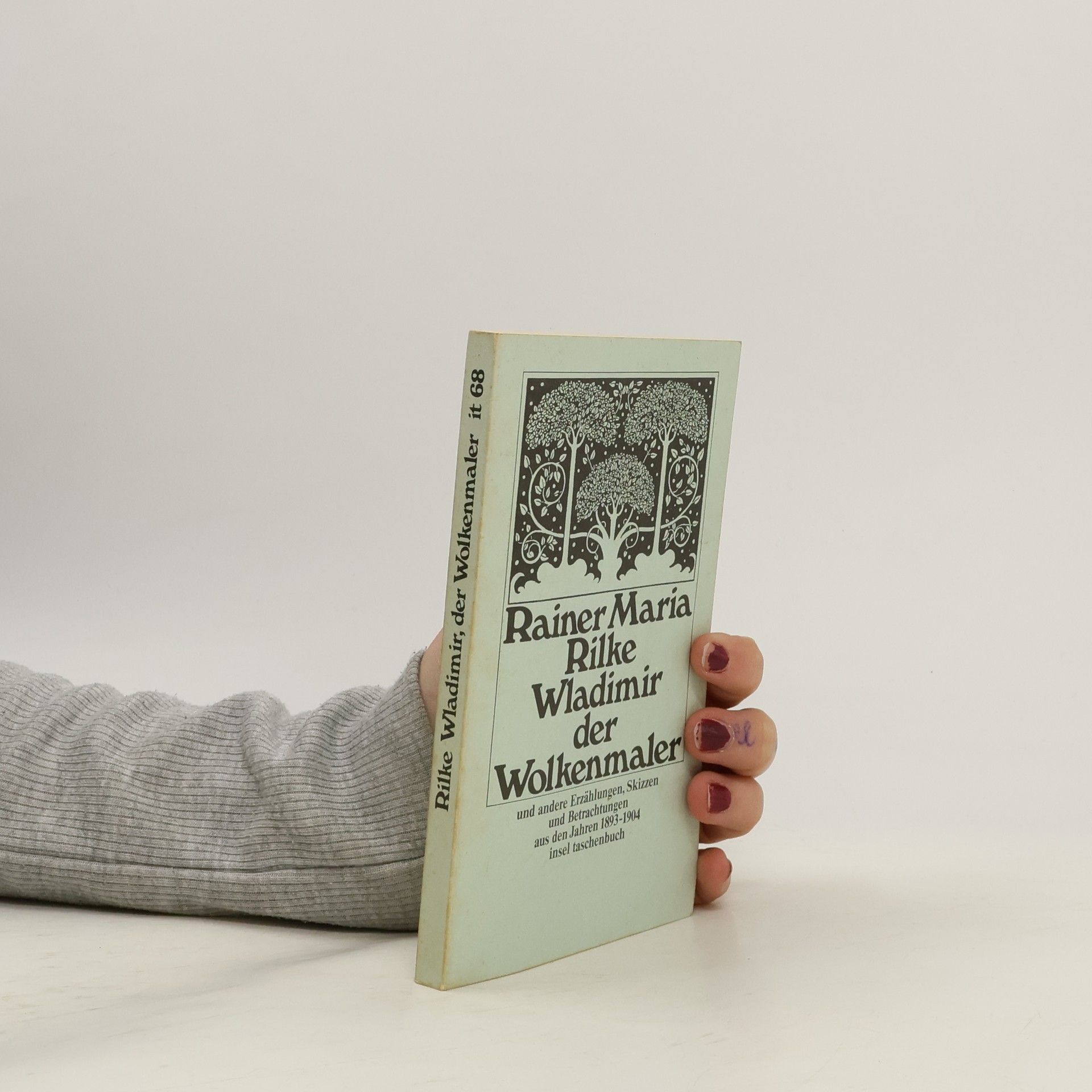Rainer Maria Rilke Wladimir, der Wolkenmaler, und andere Erzählungen, Skizzen und Betrachtungen aus den Jahren 1893-1904
