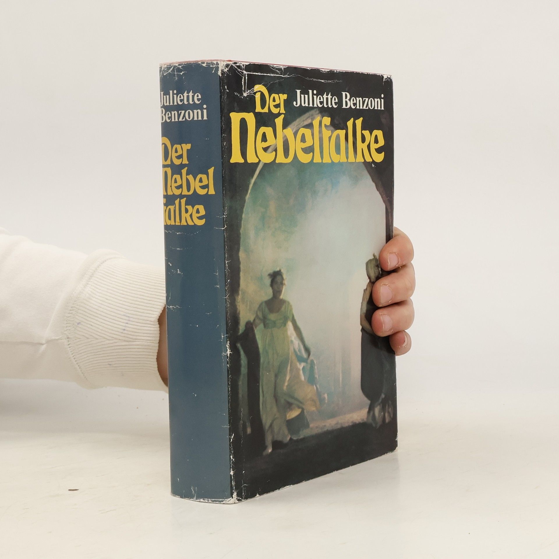 Juliette Benzoni Der Nebelfalke